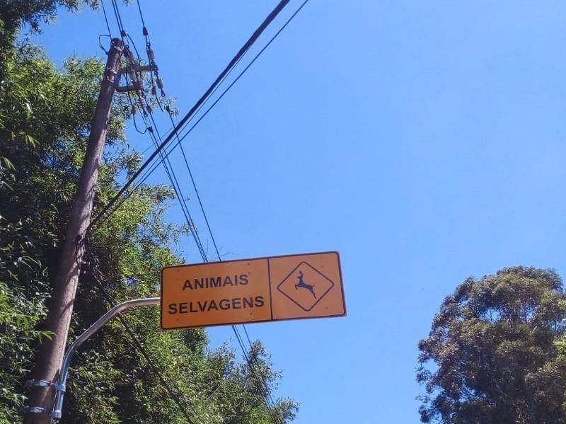 Sinalização é empregada para orientar o trânsito em diversas situações 