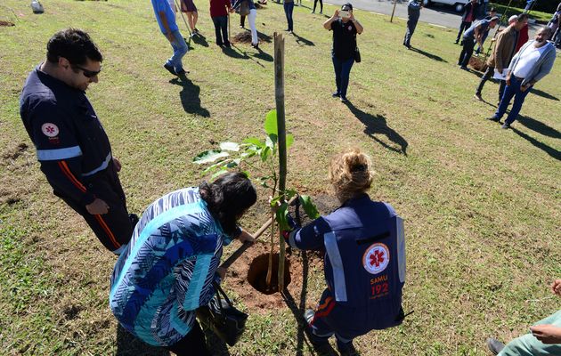 Ipês lembrarão permanentemente os familiares falecidos