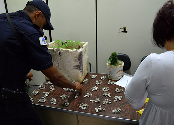 Porções também foram recolhidas