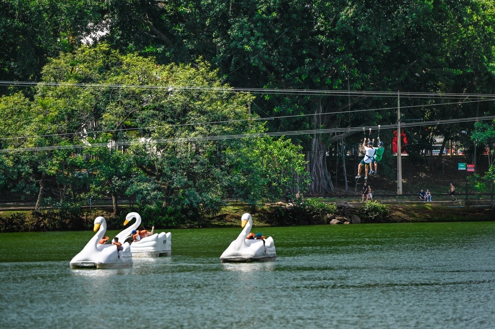 Com trégua das chuvas, visitantes podem voltar a curtir todos os parques e bosques da cidade