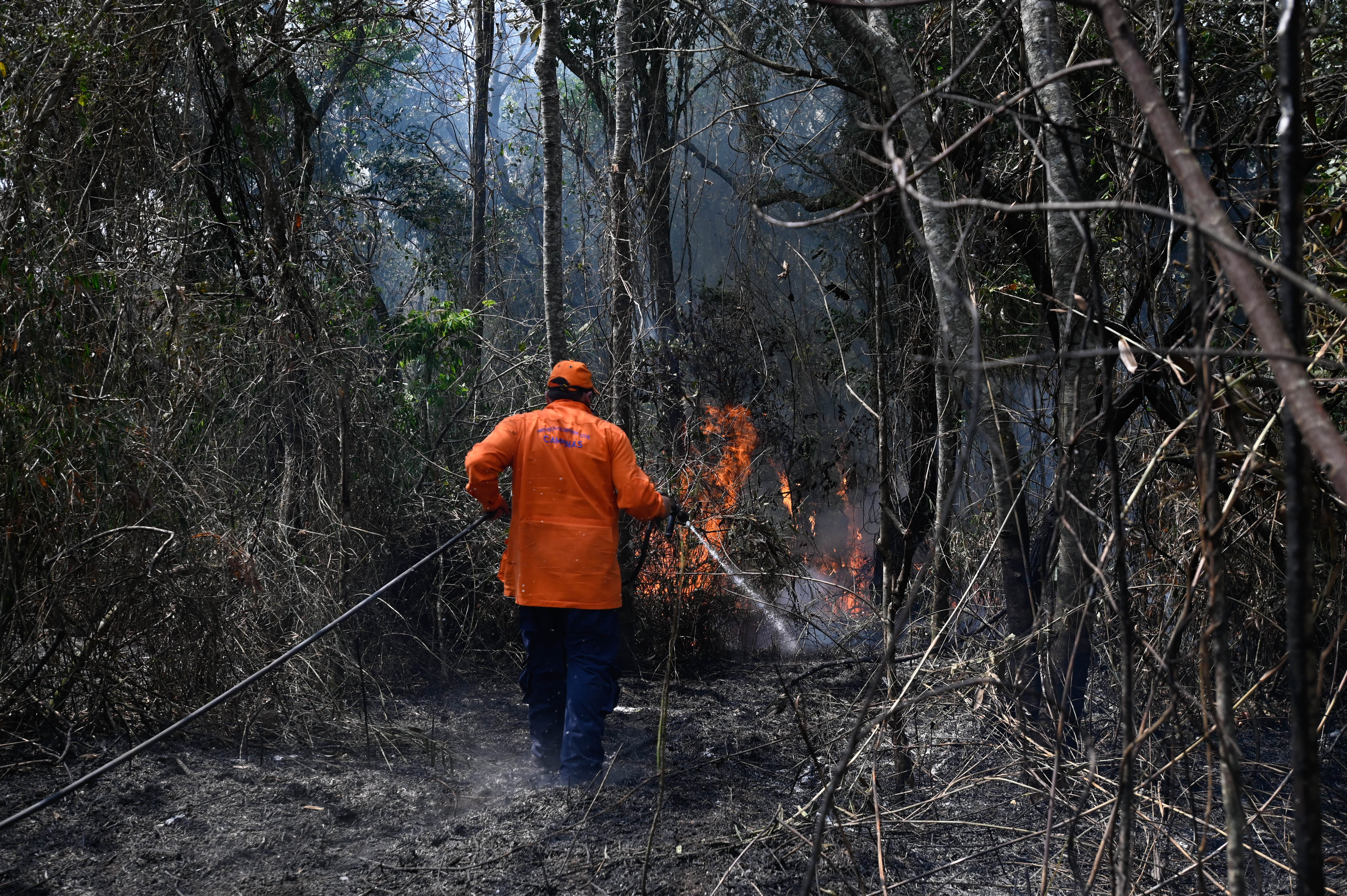 Incêndios podem destruir grandes áreas de vegetação e trazer danos irreversíveis ao meio ambiente e à comunidade 