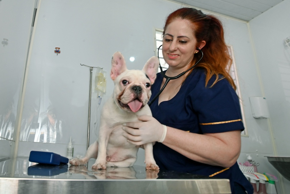 Os Consultórios Veterinários Móveis voltam ao atendimento em 5 de janeiro de 2026, na Vila Boa Vista e na região do Jardim Proença