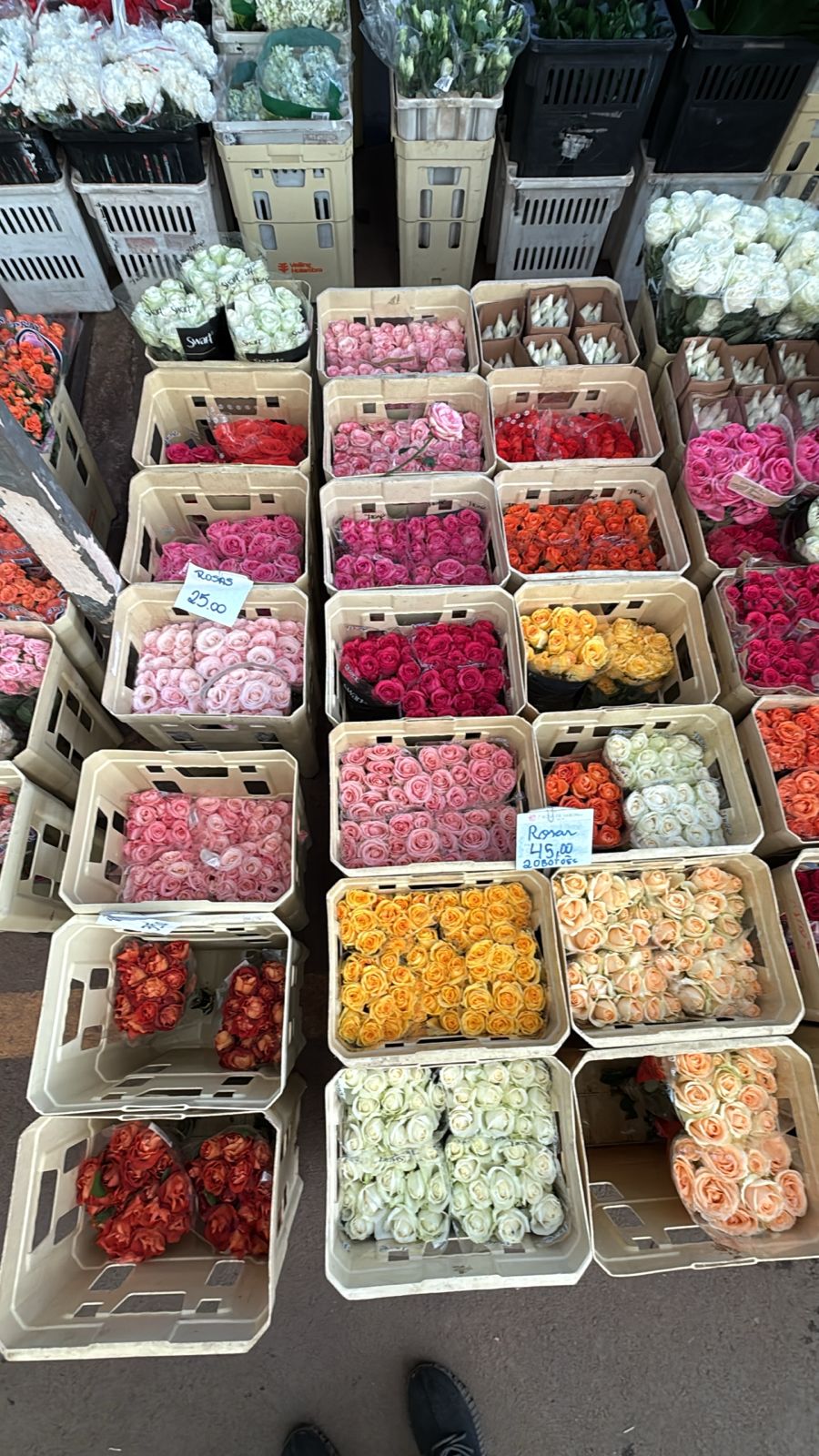 O Dia Internacional da Mulher é uma data importante para setor florista e vem ganhando espaço ao longo dos anos, ficando atrás apenas do Dia das Mães e  Finados