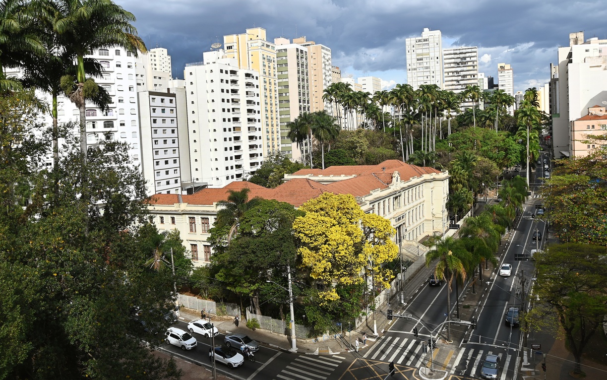 Flores amarelam emolduram prédio de escola no Centro: florada dura entre cinco e dez dias, dependendo das condições climáticas