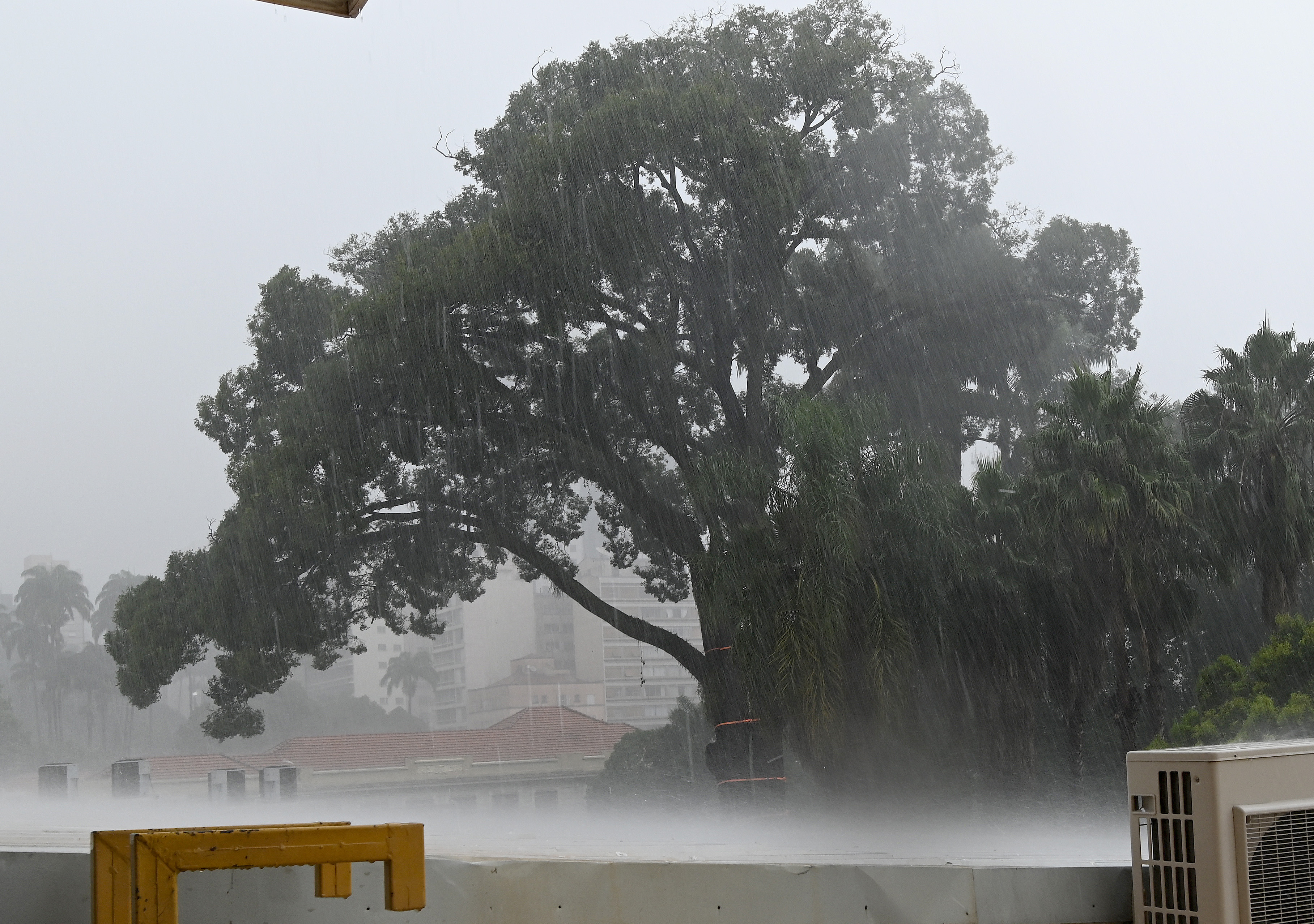Maior índice de chuva foi de 55,1 milímetros, na região Noroeste