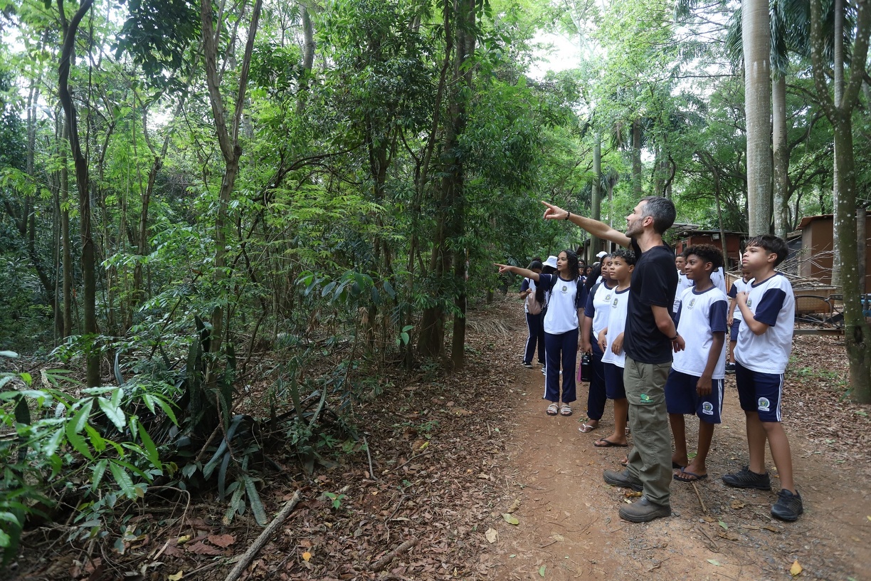Escolas públicas e entidades filantrópicas poderão se inscrever a partir de 11 de fevereiro para visitas monitoradas na Mata; vagas são limitadas