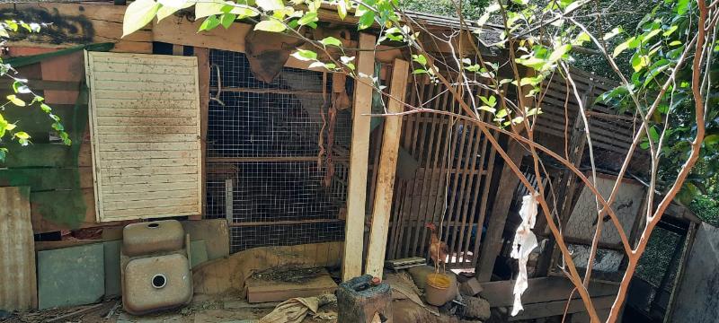 GM e guardas do 13º DP não flagraram pessoas no local