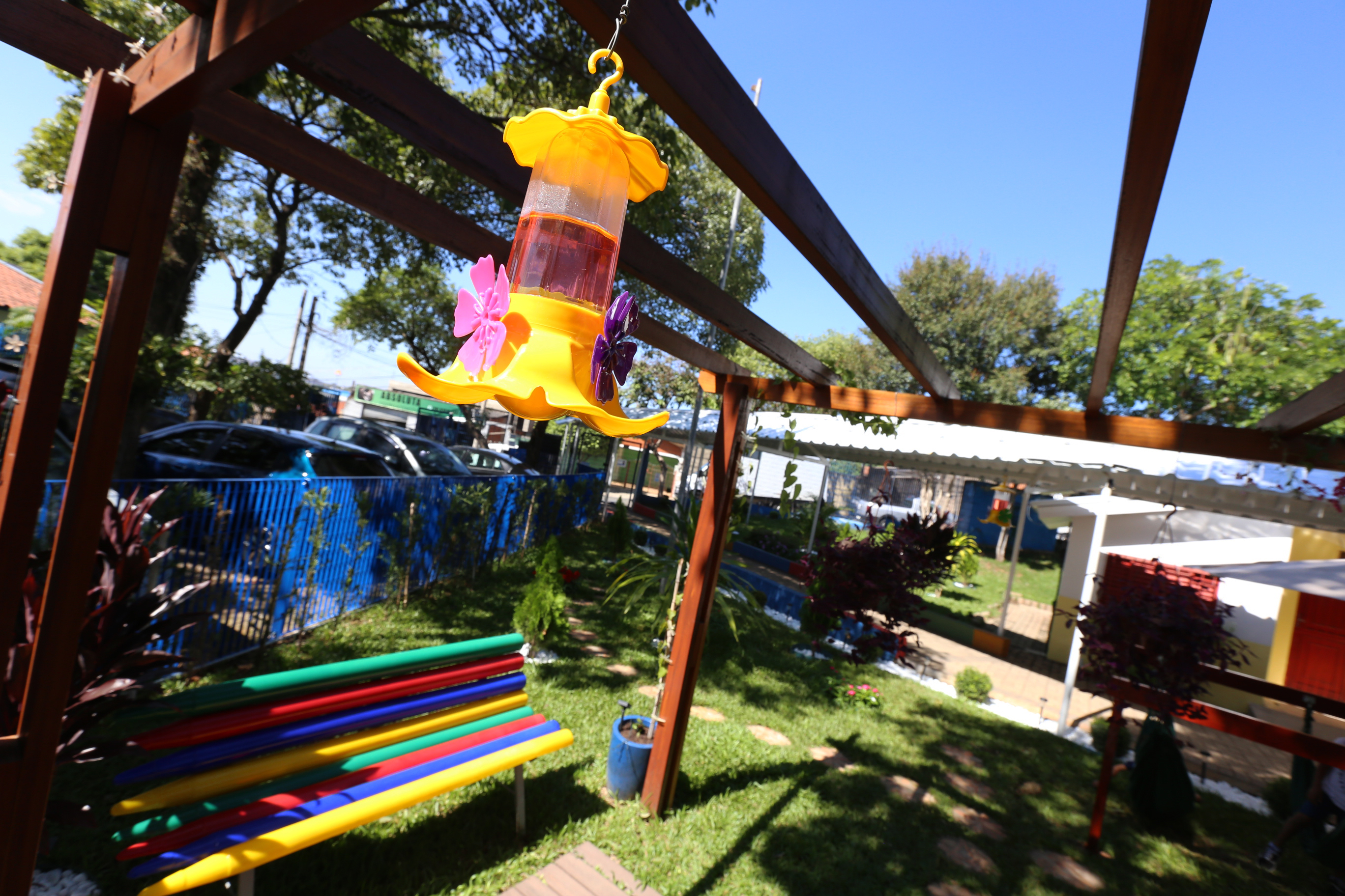 No CEI Orlando Pereira da Costa, primeiro a poda das árvores, depois, um novo jardim