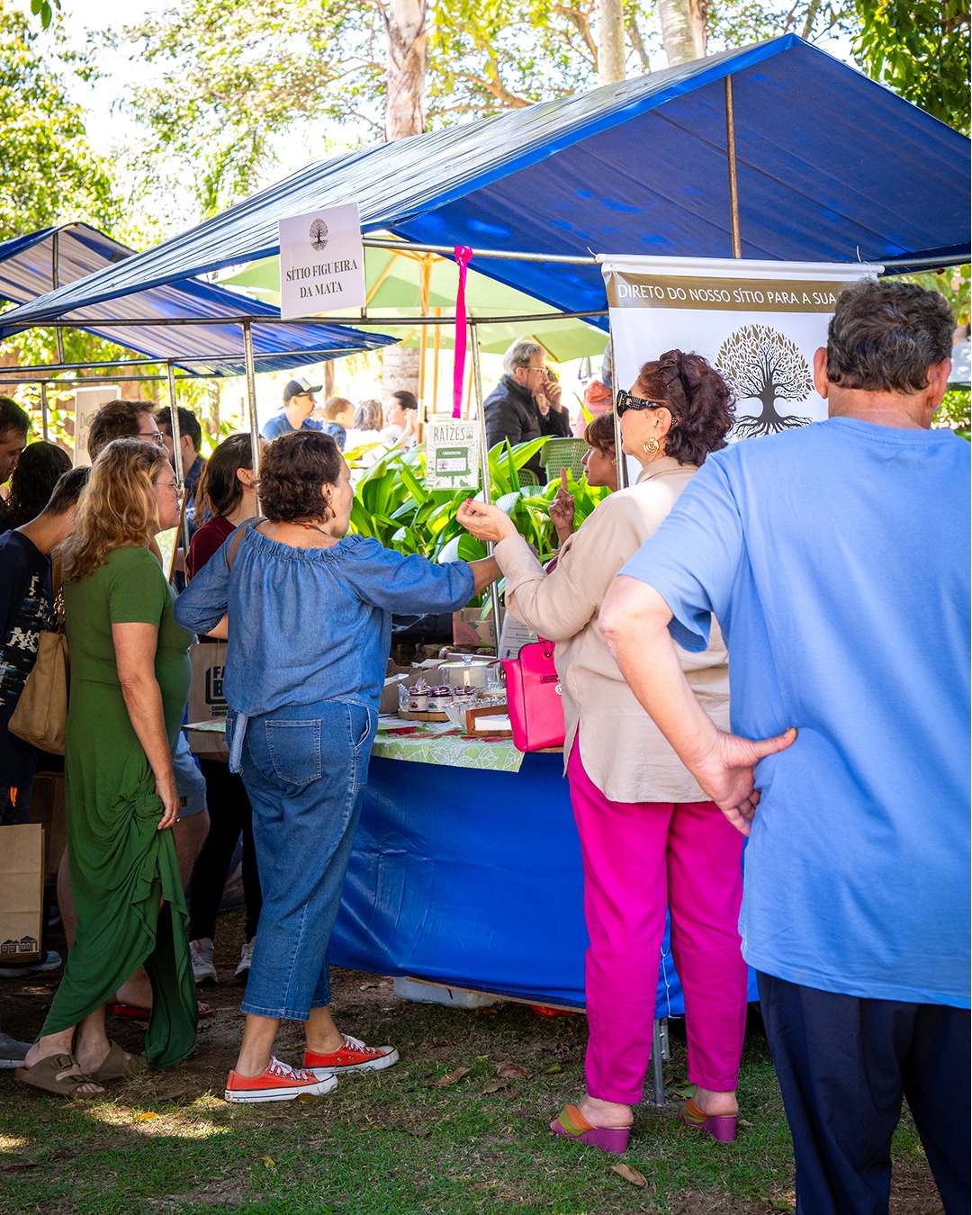 Feira Raízes, em Joaquim Egídio, aproxima consumidores e produtores no CEA Vila Educa, valorizando alimentos artesanais, práticas sustentáveis e os saberes ligados à terra