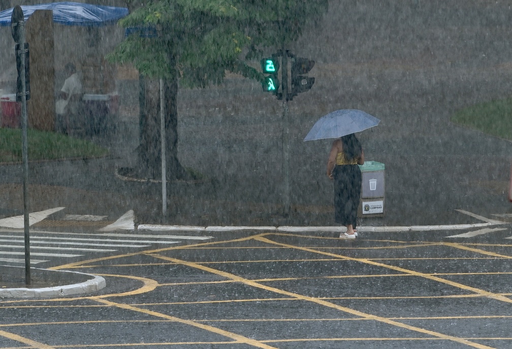 A leptospirose é uma doença causada por uma bactéria presente na urina de roedores e que pode estar presente na água suja