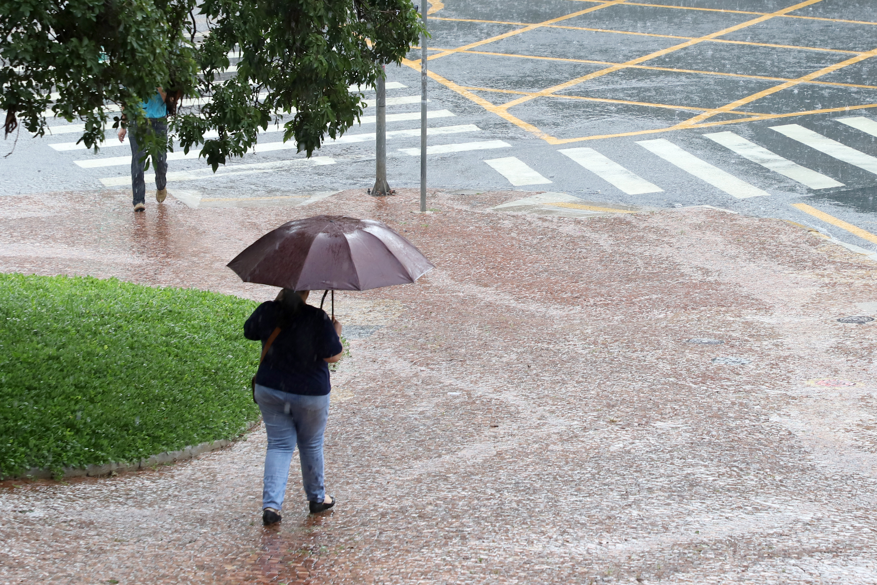 Ao sair de casa, lembre-se de levar o guarda-chuva e seguir as recomendações da Defesa Civil