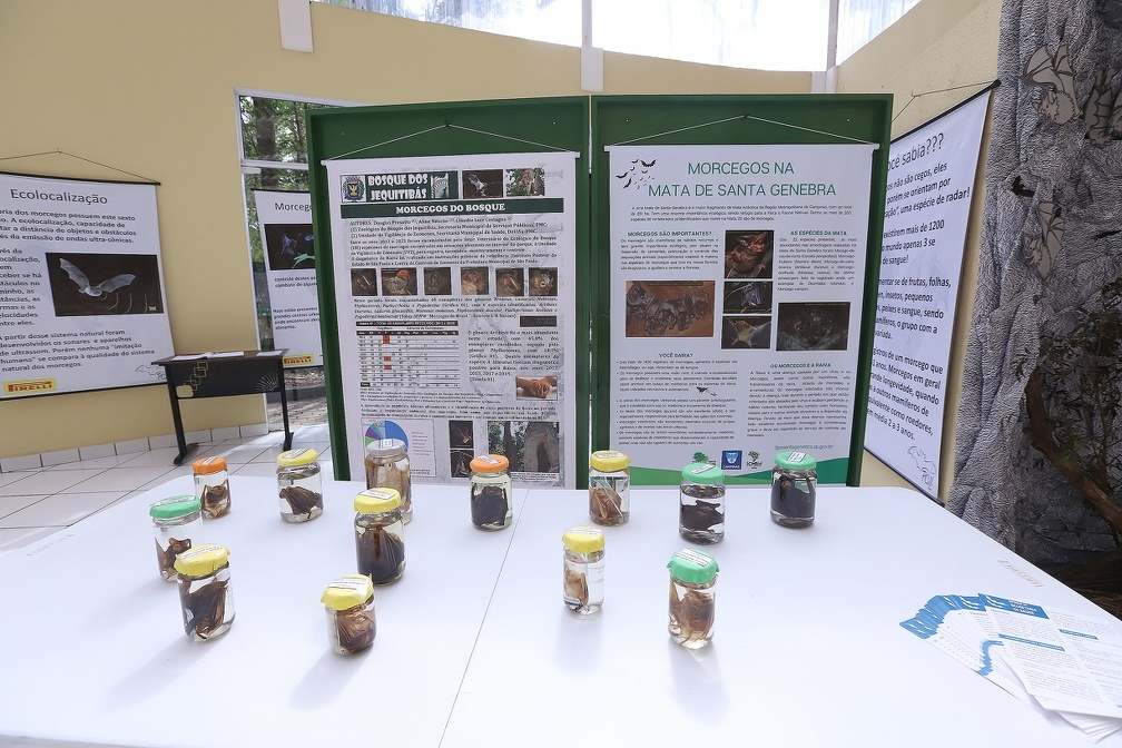 Ação da Saúde de Campinas para prevenção à raiva reúne exposição de materiais 