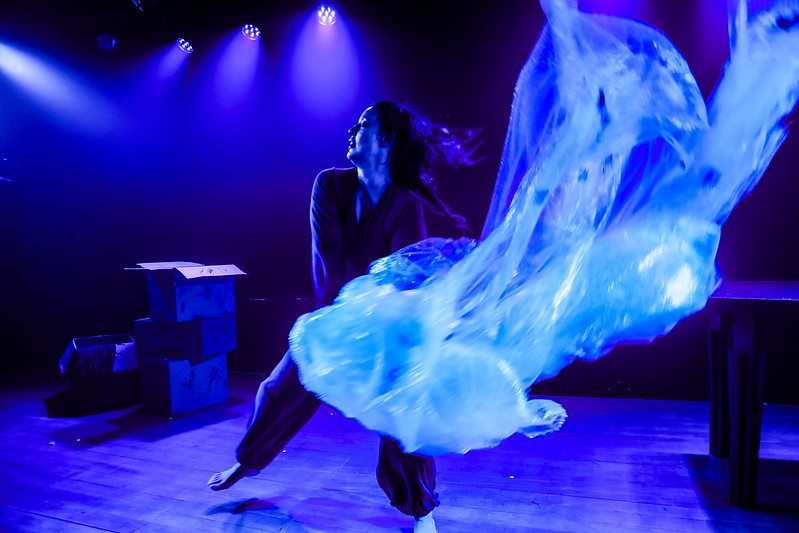  A narrativa desenvolve-se enquanto a protagonista investiga segredos do passado para tentar recuperar a fala e o canto