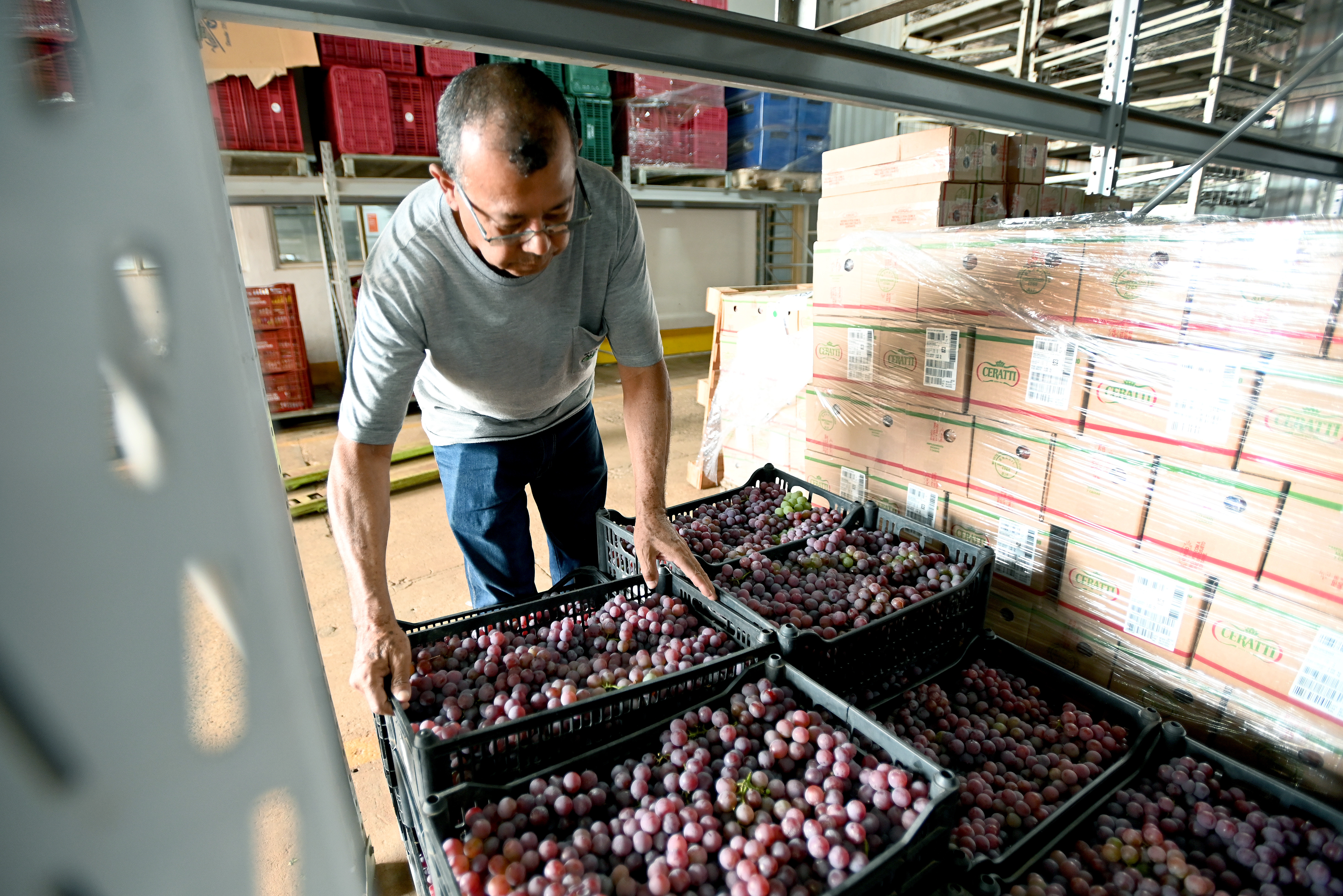 Entidades receberam os produtos no Banco de Alimentos
