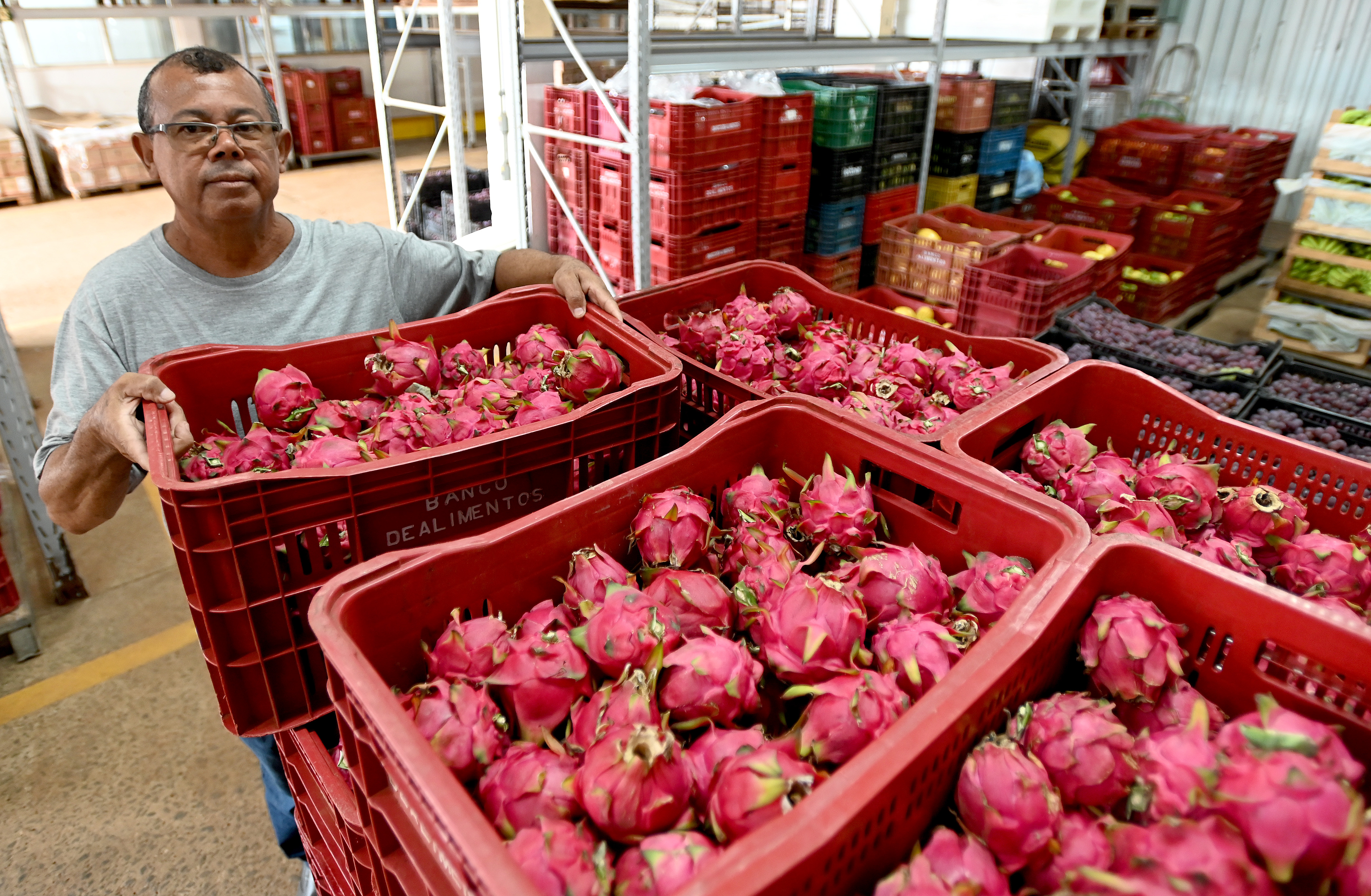 Cinco toneladas de alimentos fornecidos por agricultores familiares