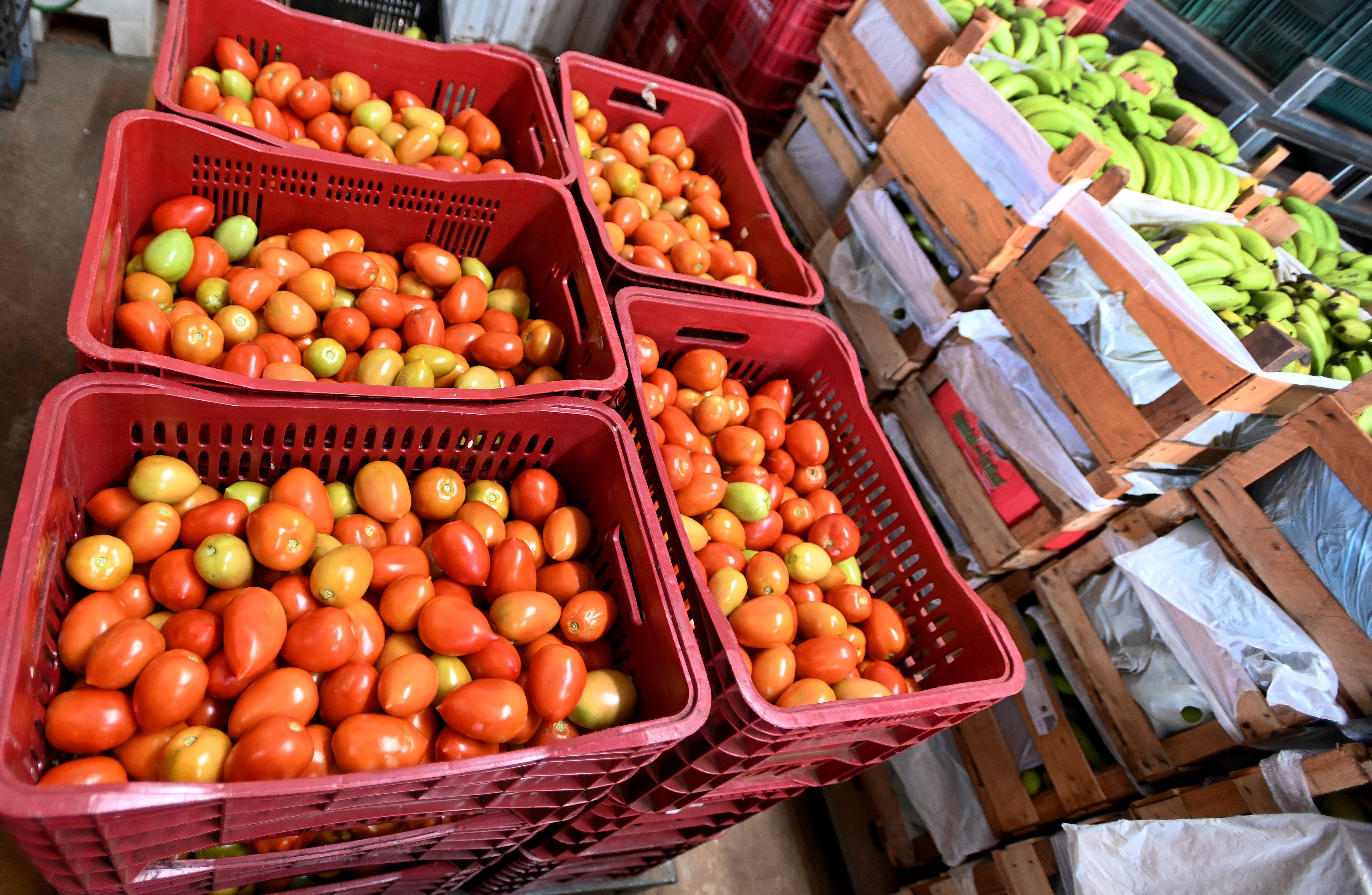 Banco de Alimentos é uma das iniciativas de Campinas no combate à inseguança alimentar