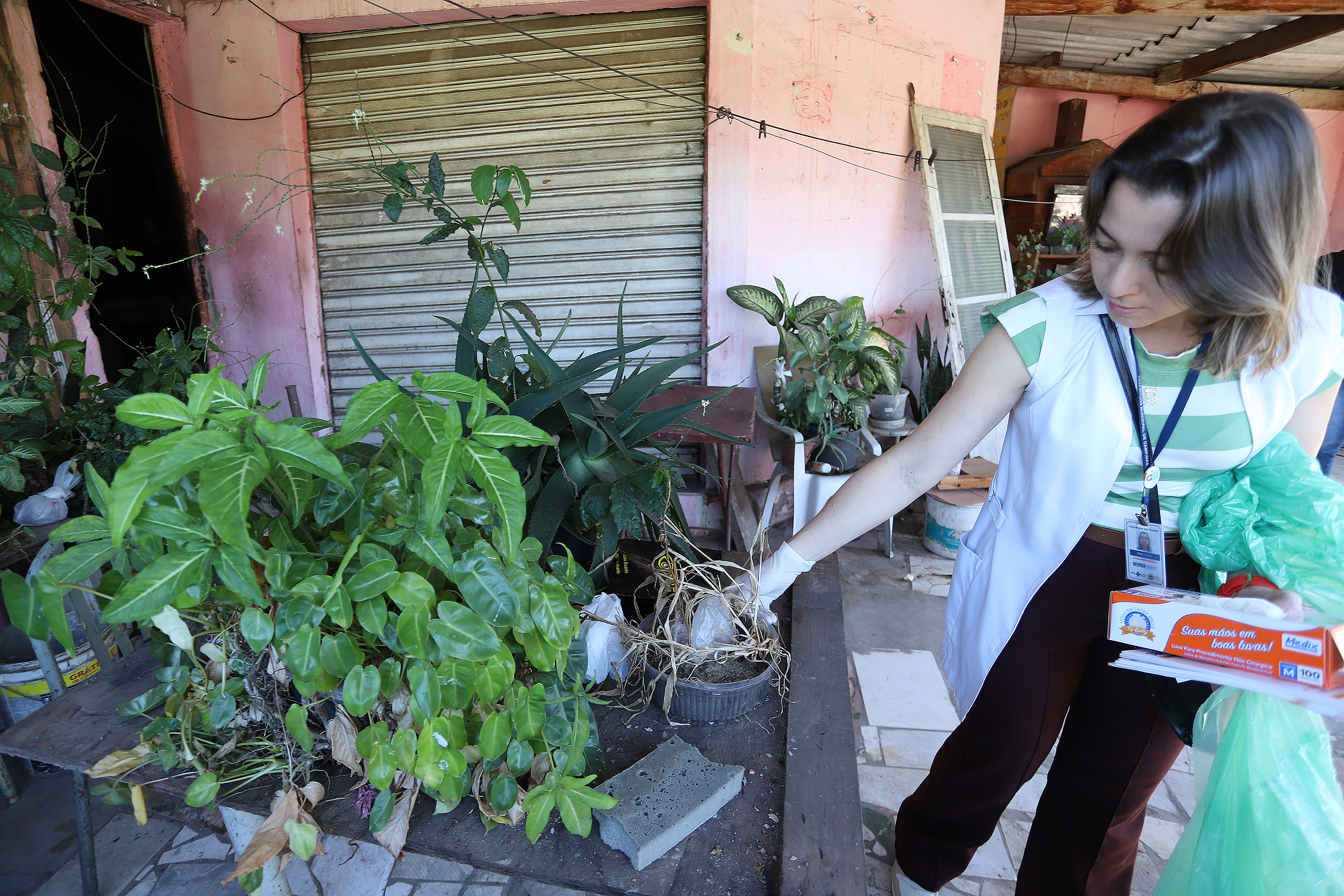 Moradores de bairros com alerta de dengue devem intensificar as vistorias em áreas de possíveis criadouros do mosquito