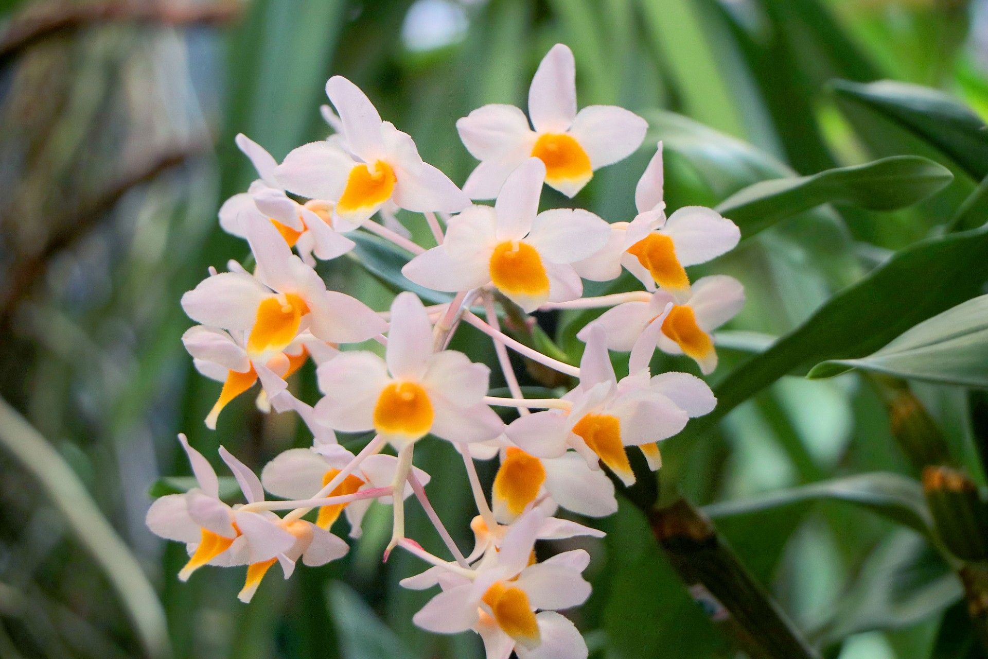 Evento reunirá expositores de diversas regiões do Brasil
