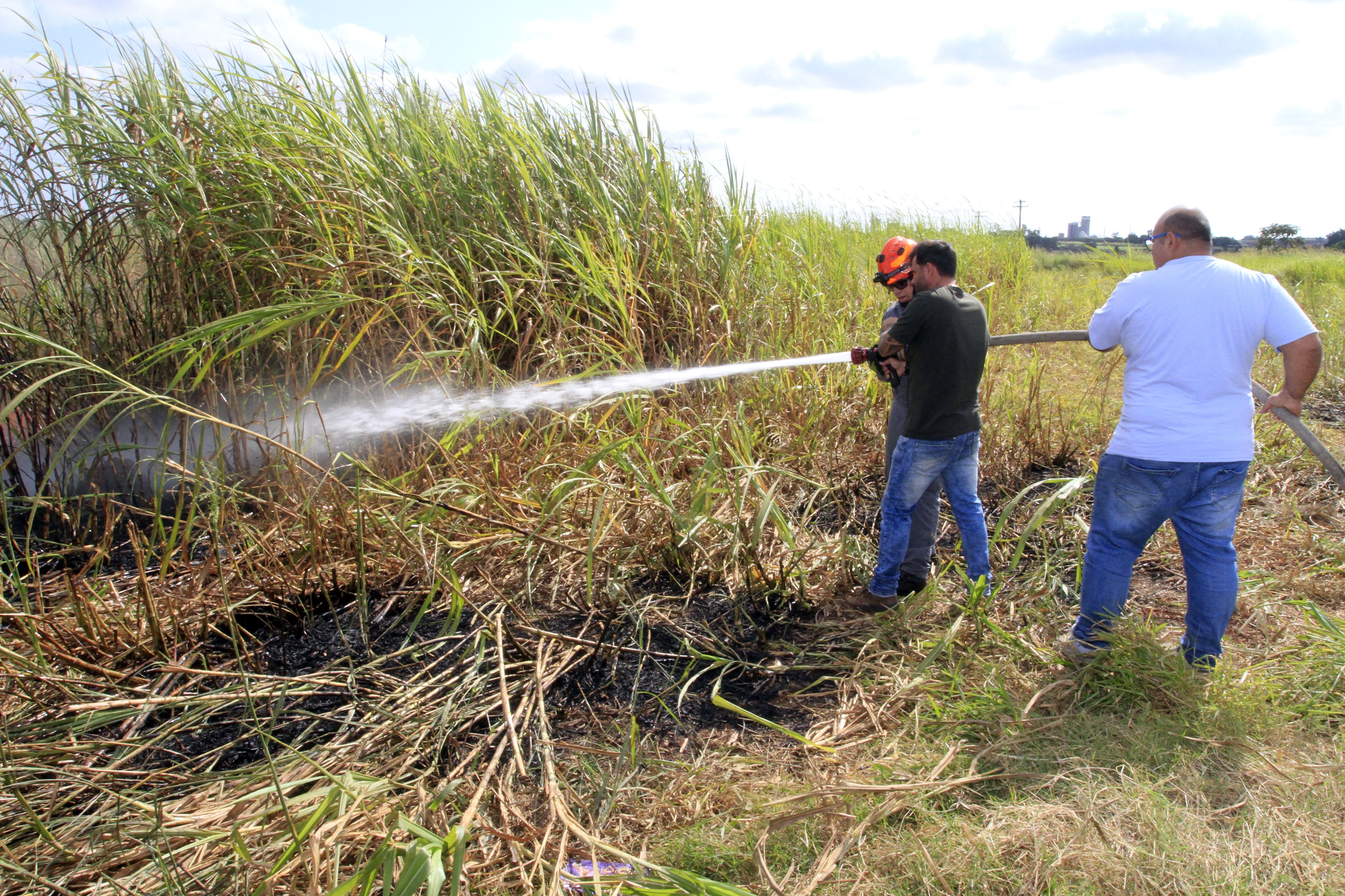 Brigada foi treinada para atuar em situações que demandem atenção na Mata