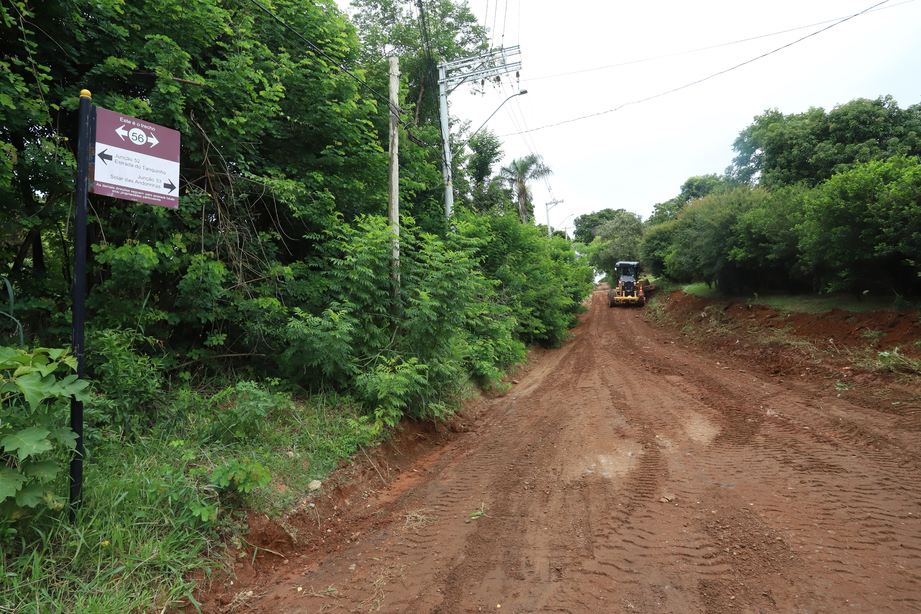 Cinco caminhões e três máquinas pesadas estão sendo utilizadas no serviço 
