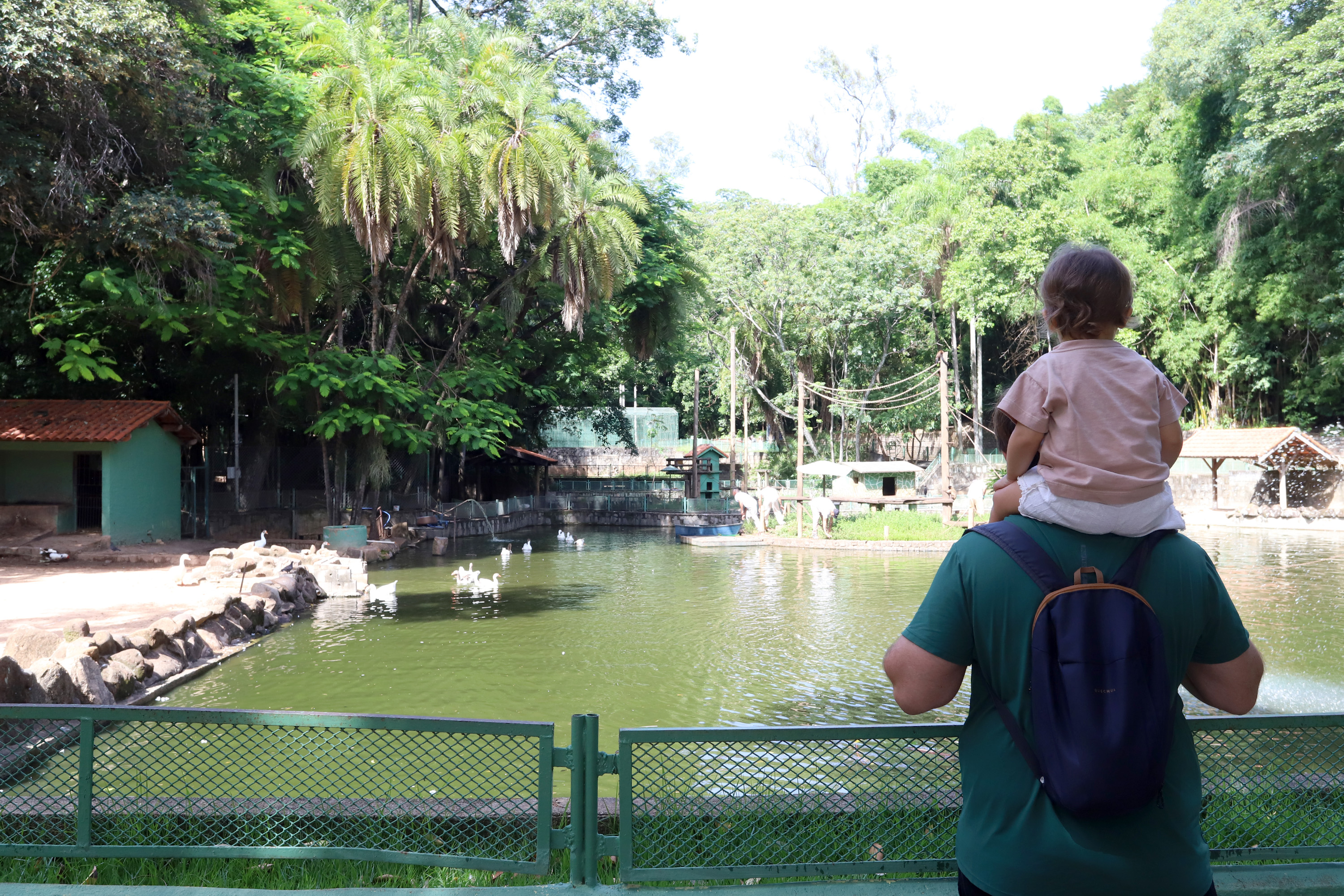 Iniciativa visa conscientizar a população sobre a importância da preservação ambiental, do cuidado com a fauna e da adoção de práticas sustentáveis no cotidiano