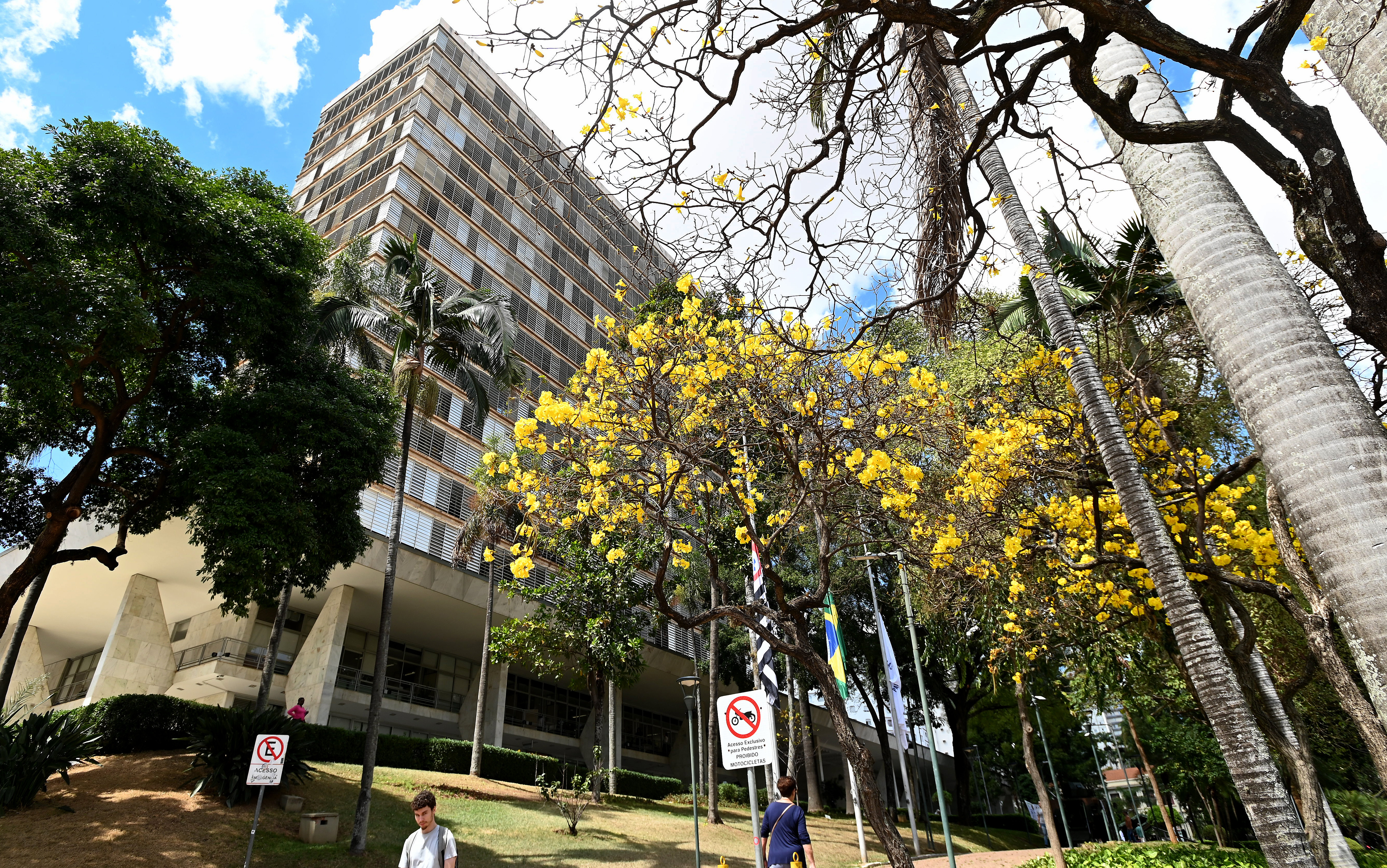 Resultado mostra avanço na participação e a diversidade de segmentos representados no colegiado