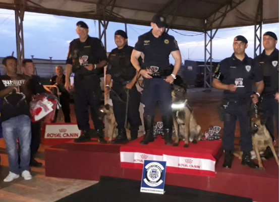 Pastor belga Naruk foi treinado pela Guarda Municipal de Campinas