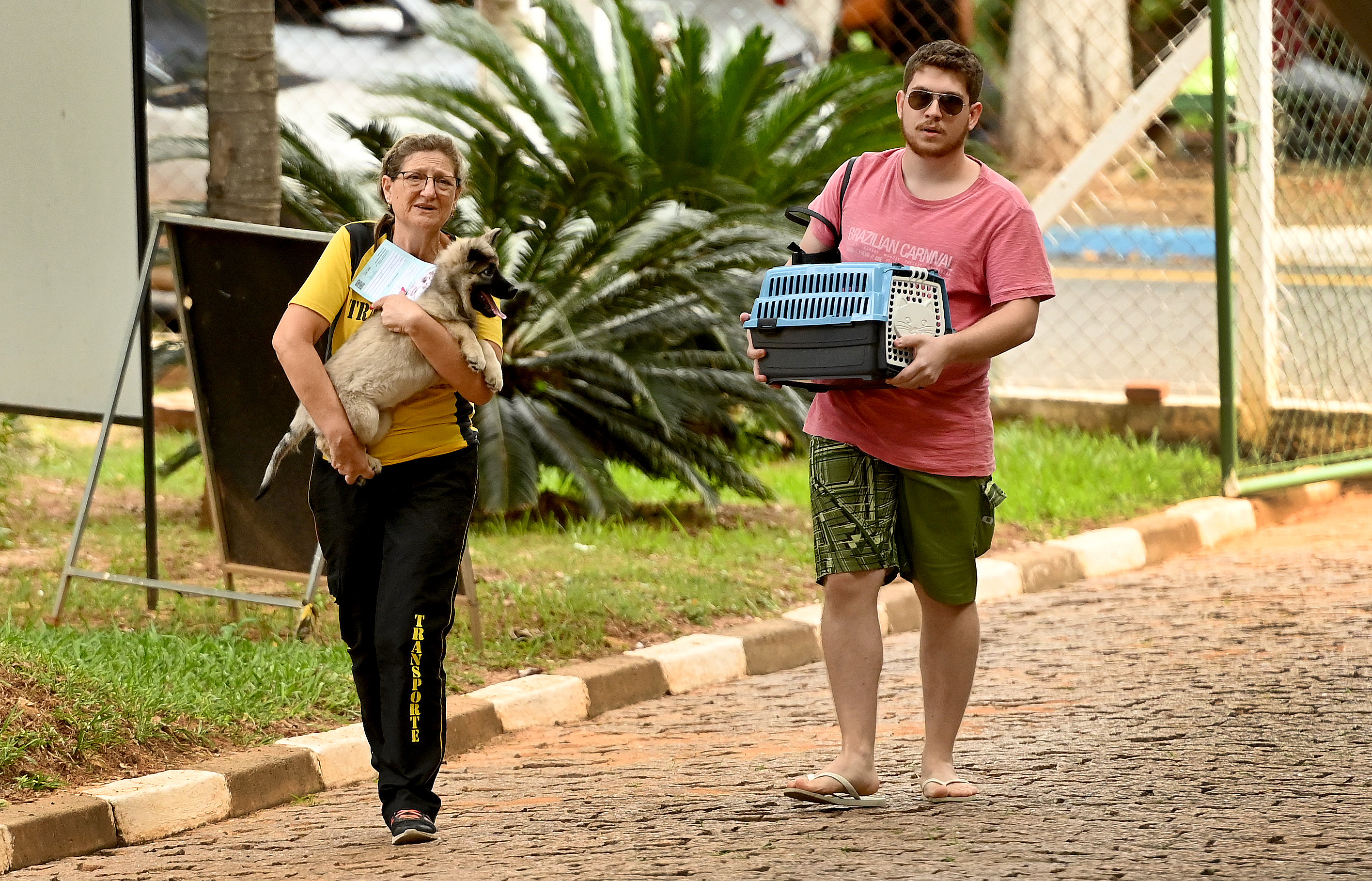 Para o atendimento, o tutor precisa ser maior de 18 anos e apresentar RG ou CNH, além de comprovante de residência em Campinas