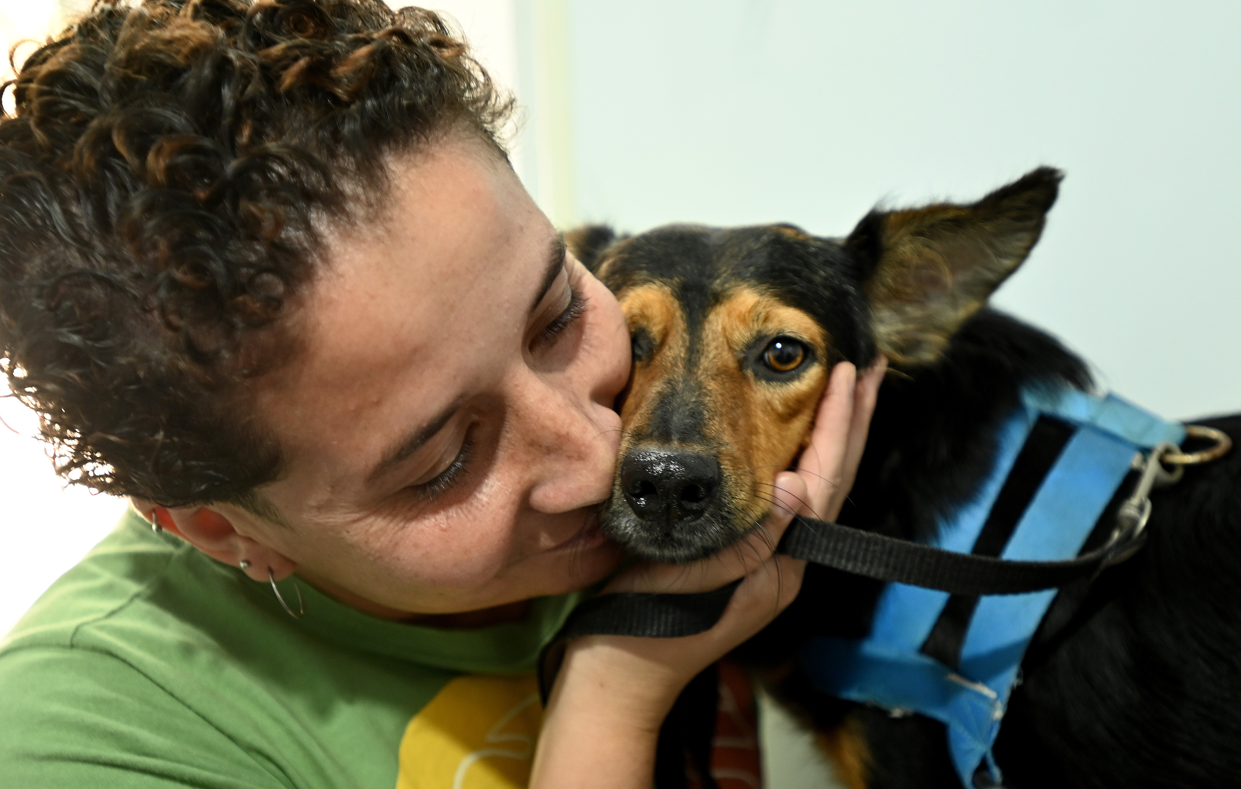 Durante o atendimento, os animais podem receber microchipagem e vacinação