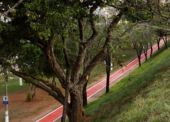 Trabalho para recuperação durou cerca de 10 dias
