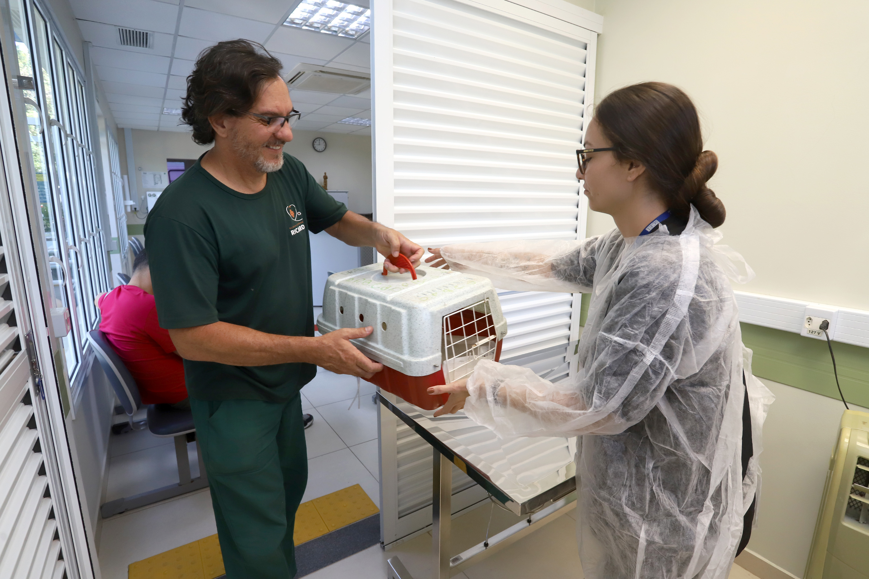 Animais foram resgatados pelo Samu Animal e foram encaminhados à clínica veterinária 