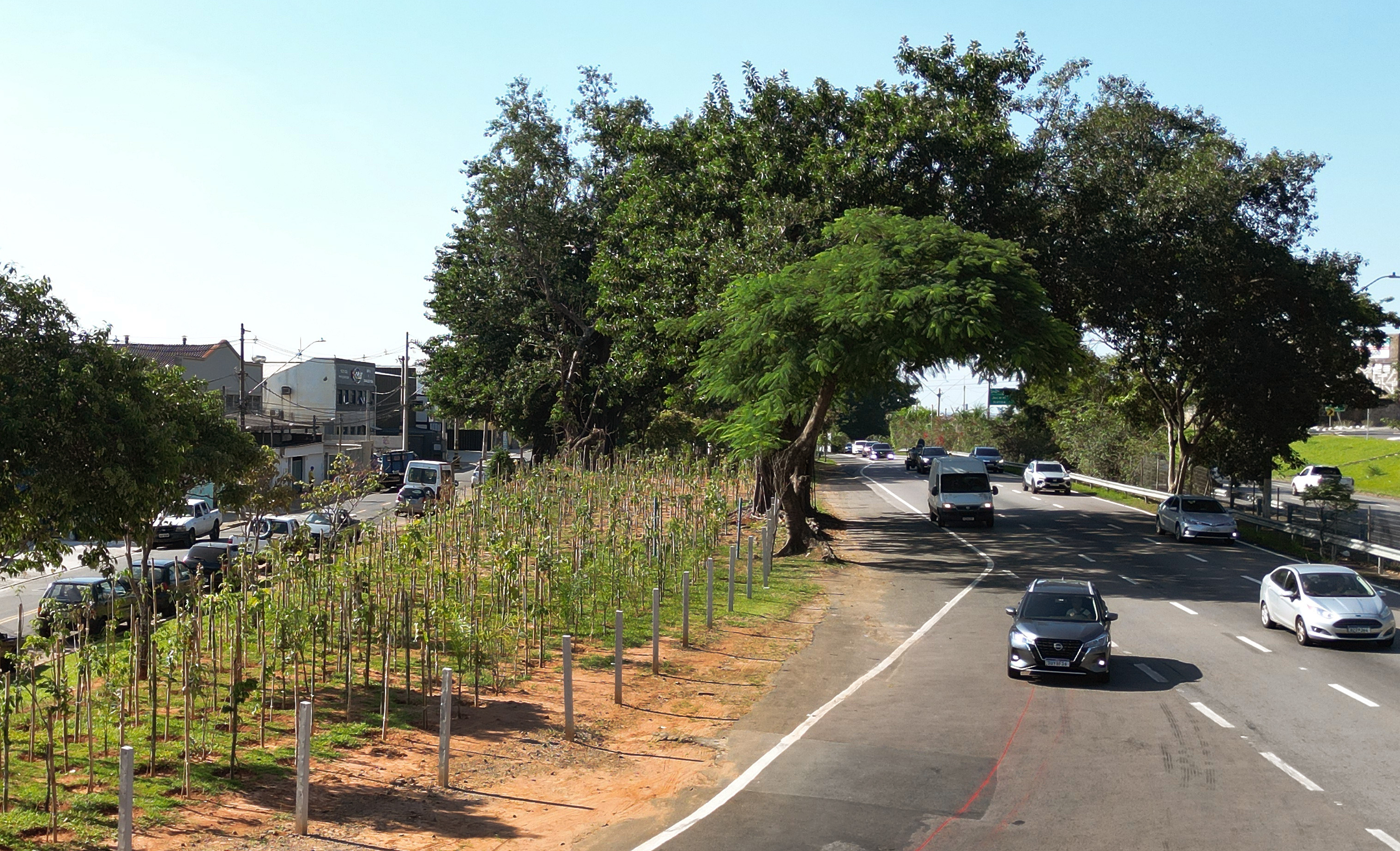 Na mais recente microfloresta pronta, em frente à Cidade Judiciária, foram plantadas 950 mudas de árvores nativas da Mata Atlântica em uma área de 1.600 metros quadrados.