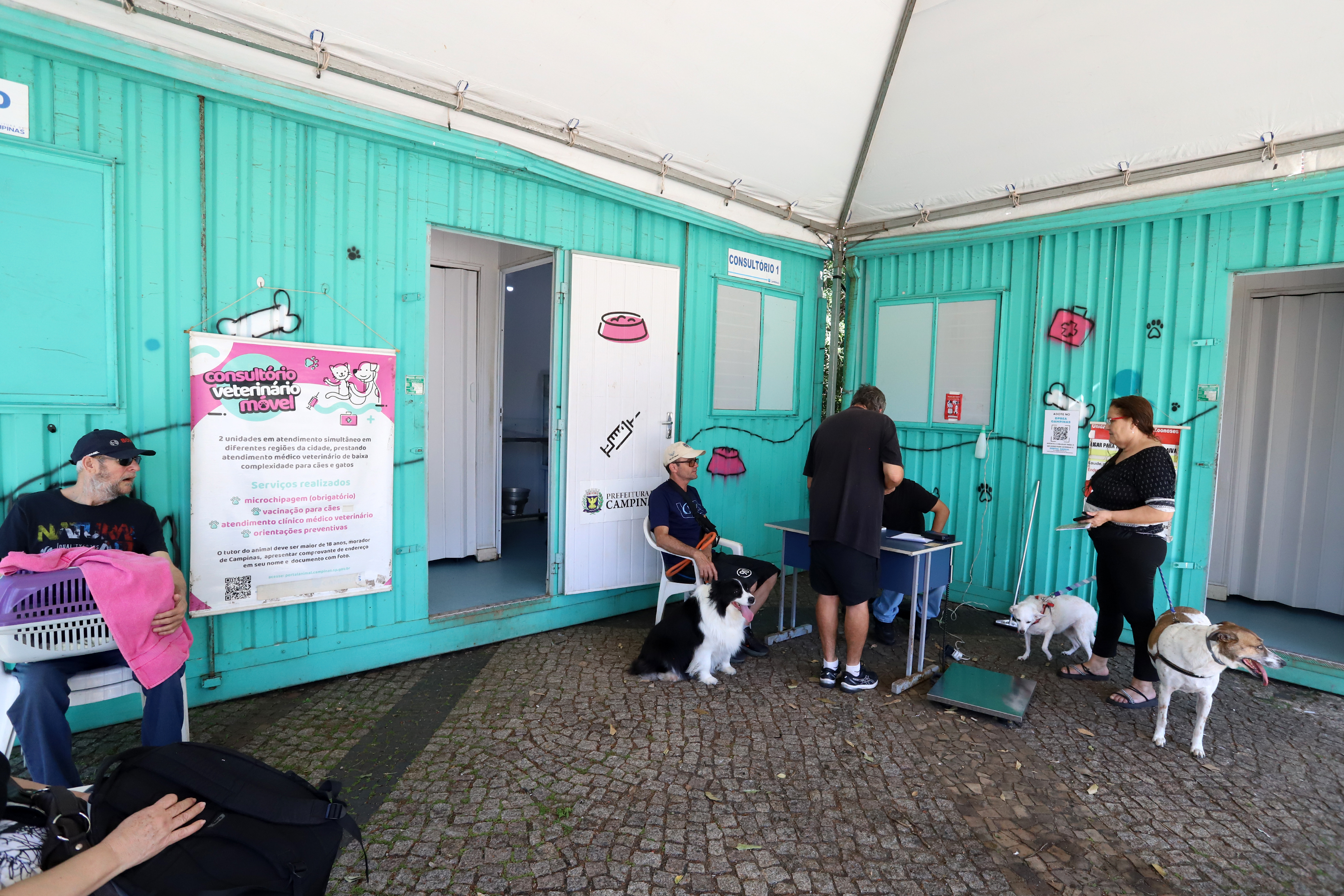 População pode levar os pets para que sejam examinados, microchipados e, se houver indicação, vacinados; o atendimento é gratuito