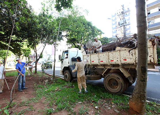 Homens passaram a manhã recolhendo galhos e árvores