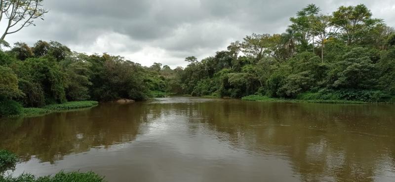 Mutirão vai retirar lixo do Rio Atibaia e plantar mudas de espécies nativas em suas margens
