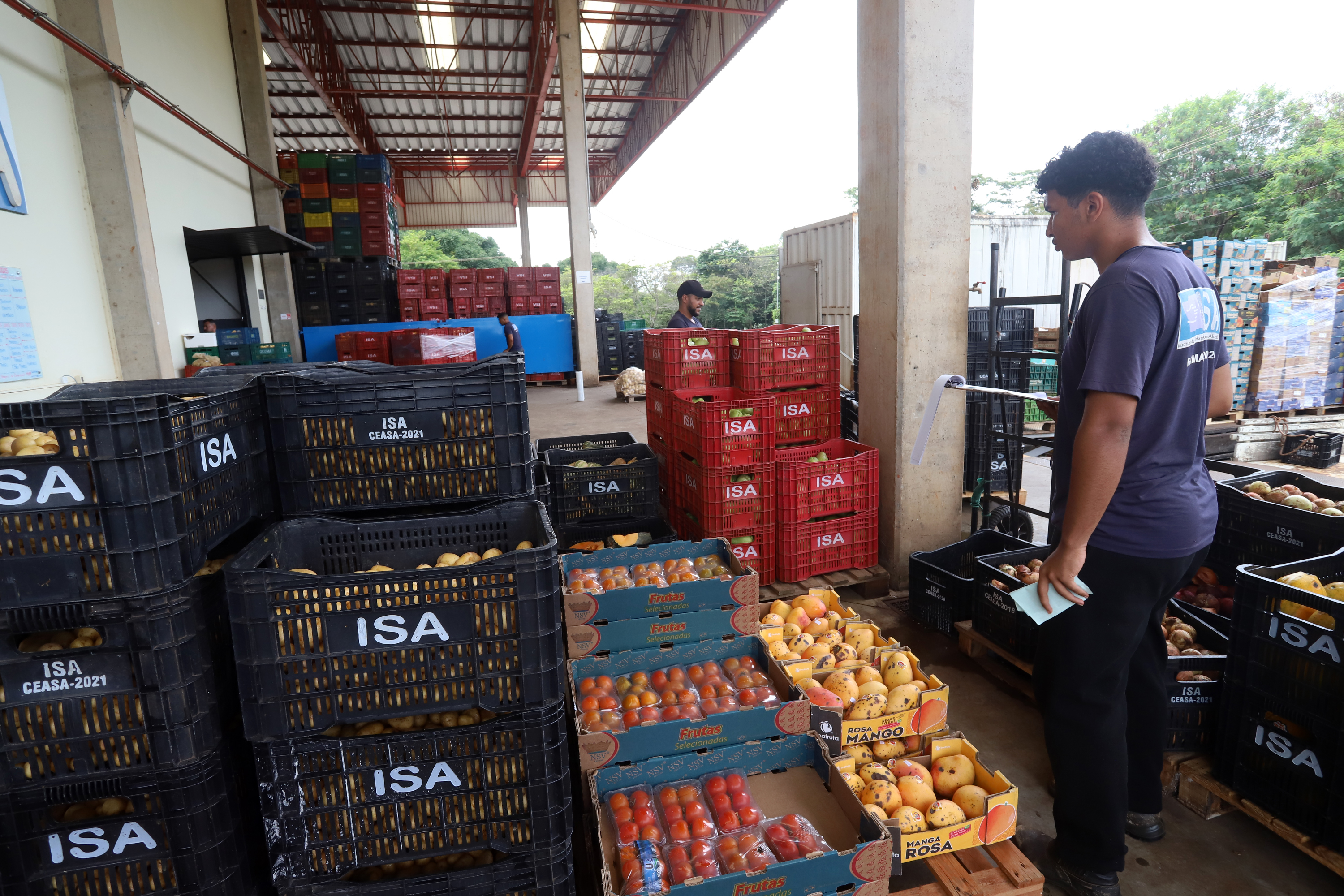 Alimentos são provenientes, principalmente, das doações feitas pelos permissionários da Ceasa Campinas