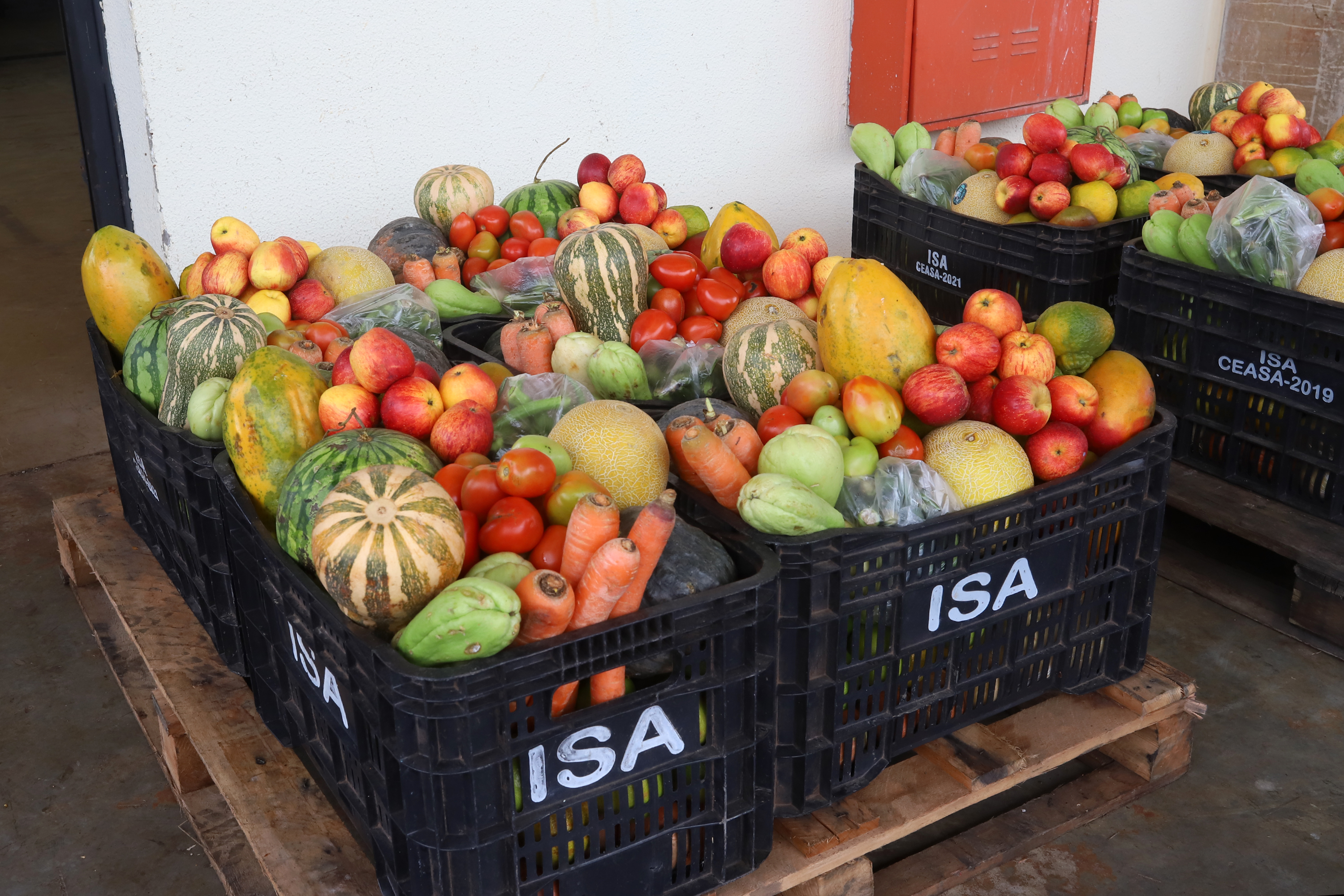 Legumes, verduras e frutas da Ceasa Campinas, em parceria com o ISA, alimentam famílias de Campinas e 18 cidades da região 