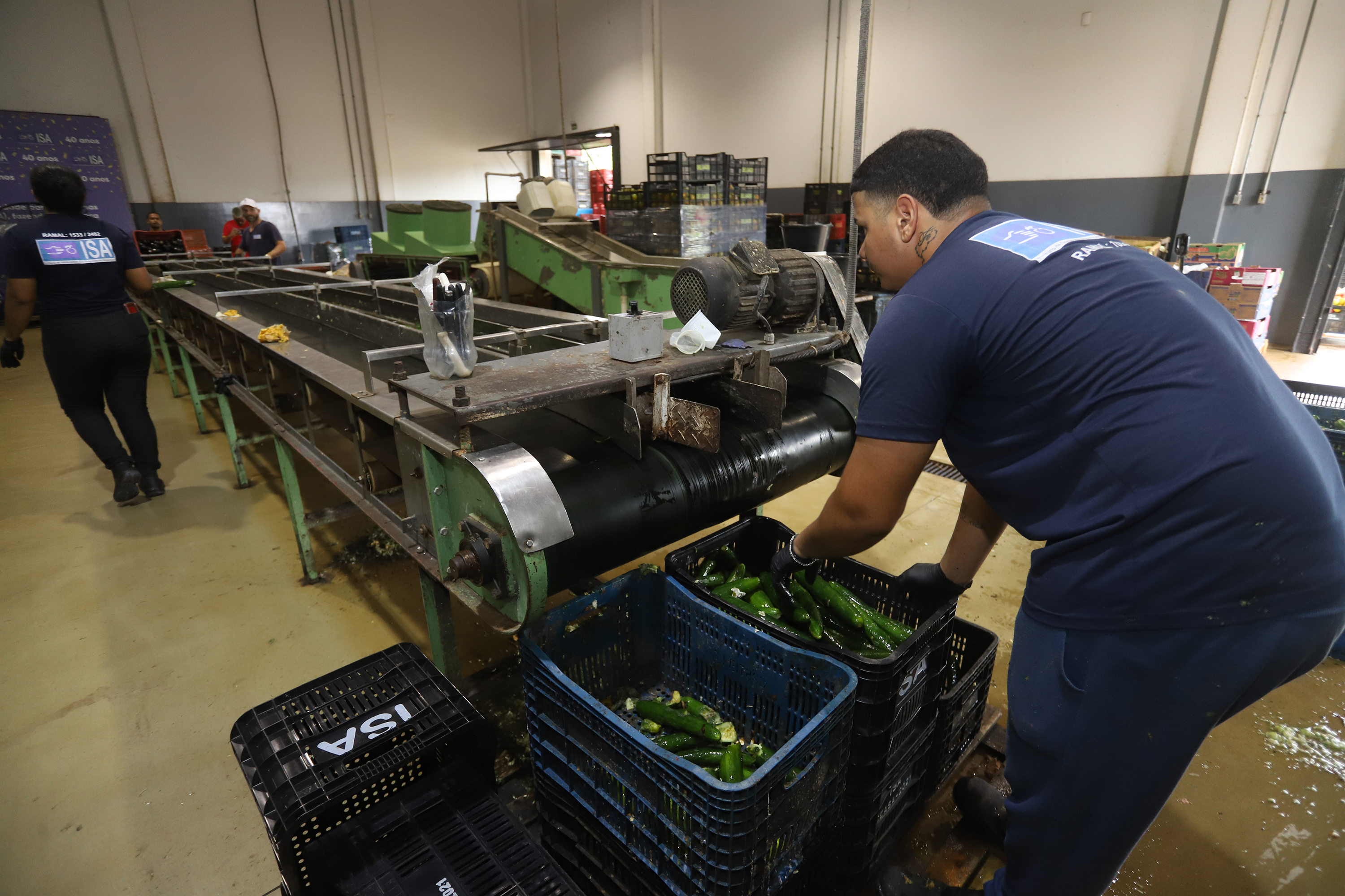 União entre tecnologia, gestão e solidariedade contribui com a segurança alimentar e combate ao desperdício