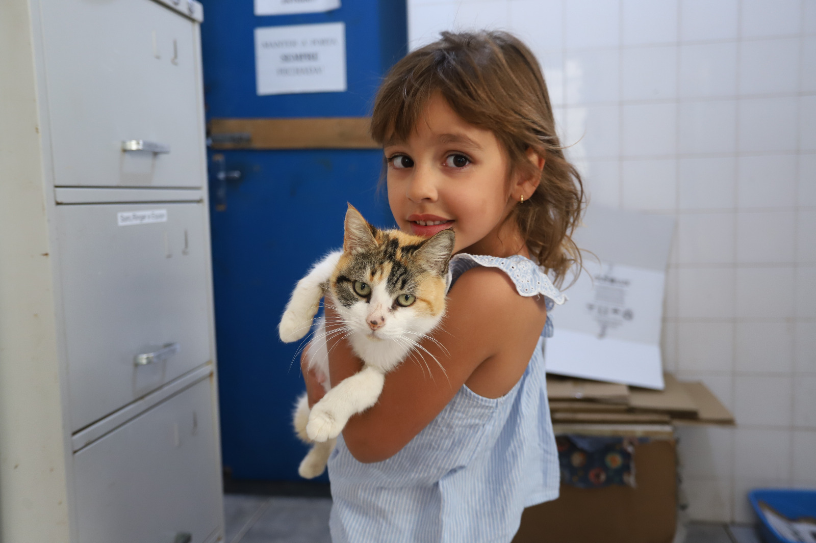  Oportunidade para se aproximar dos animais disponíveis para adoção