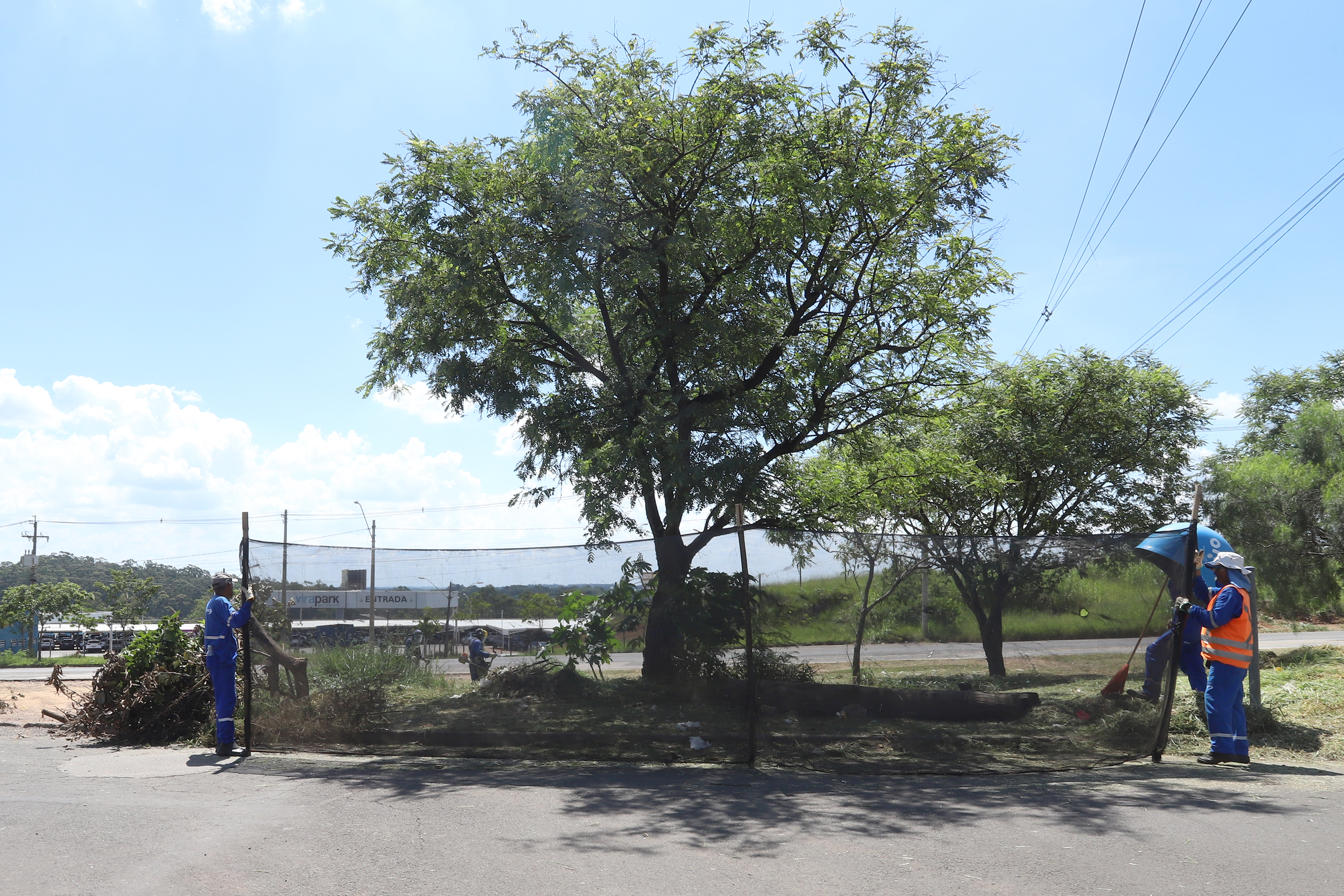 Praças e canteiros centrais passam por serviços de roçagem e limpeza ao longo dos dois dias 