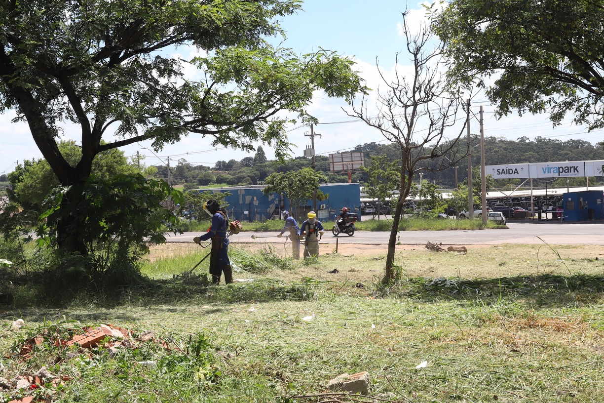 Foco da ação é fazer a limpeza de praças e canteiros centrais