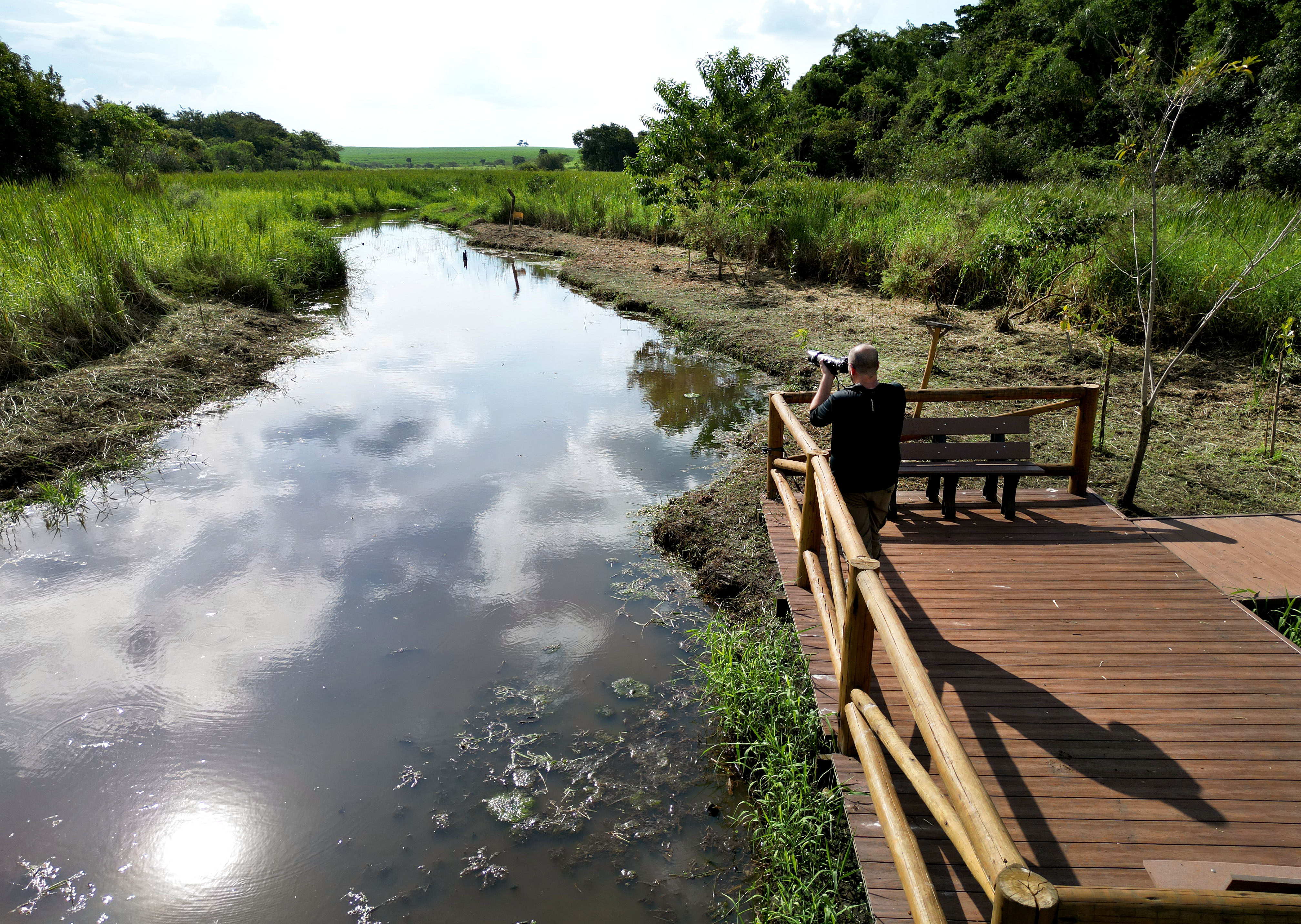 Minipantanal e laguinho Sanã ficam na Mata: além de conservação ambiental, floresta contribui para regulação climática e proteção dos recursos hídricos