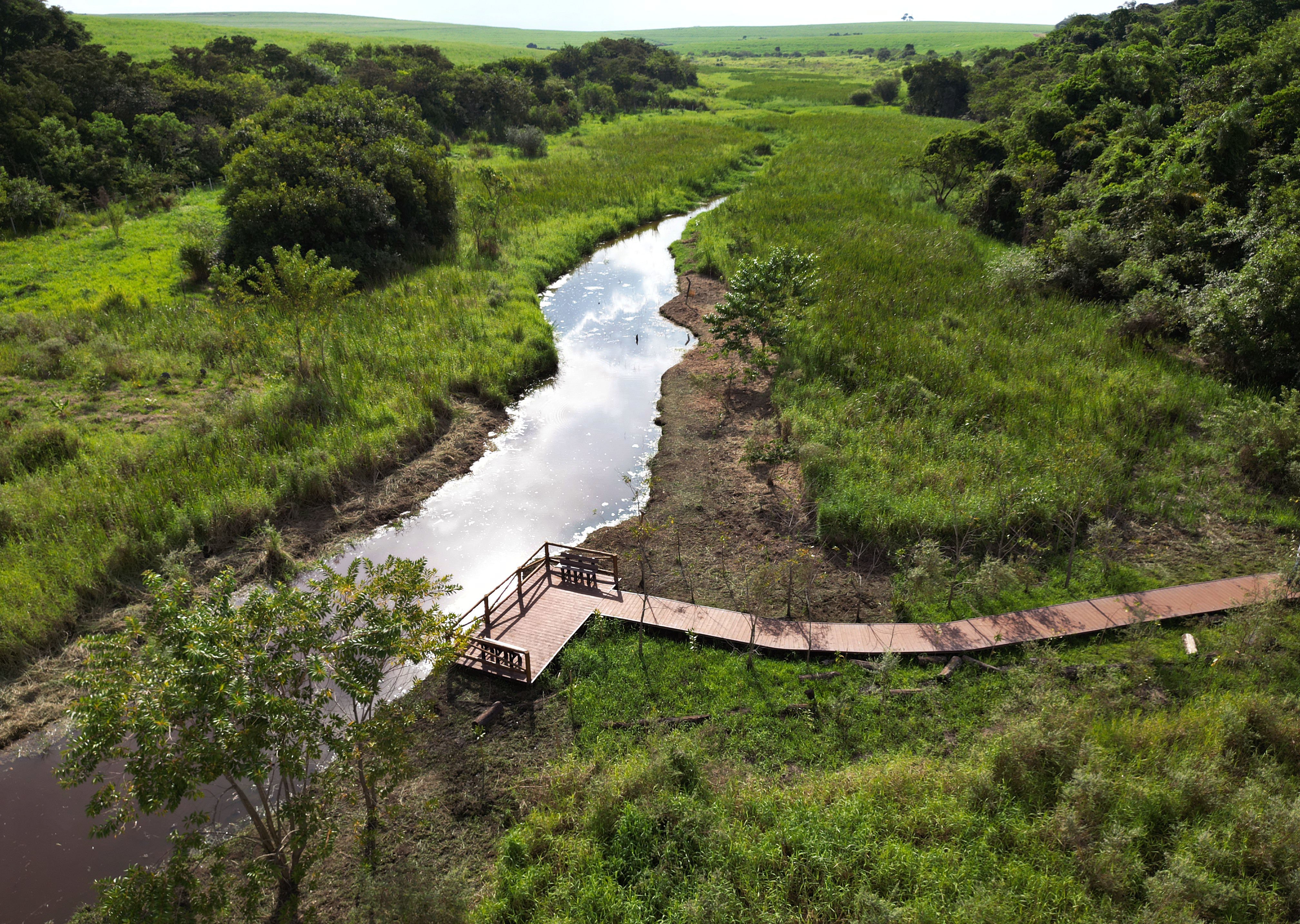 Programação especial na Mata de Santa Genebra destaca o quanto é fundamental preservar a vegetação nativa e a conservação de água