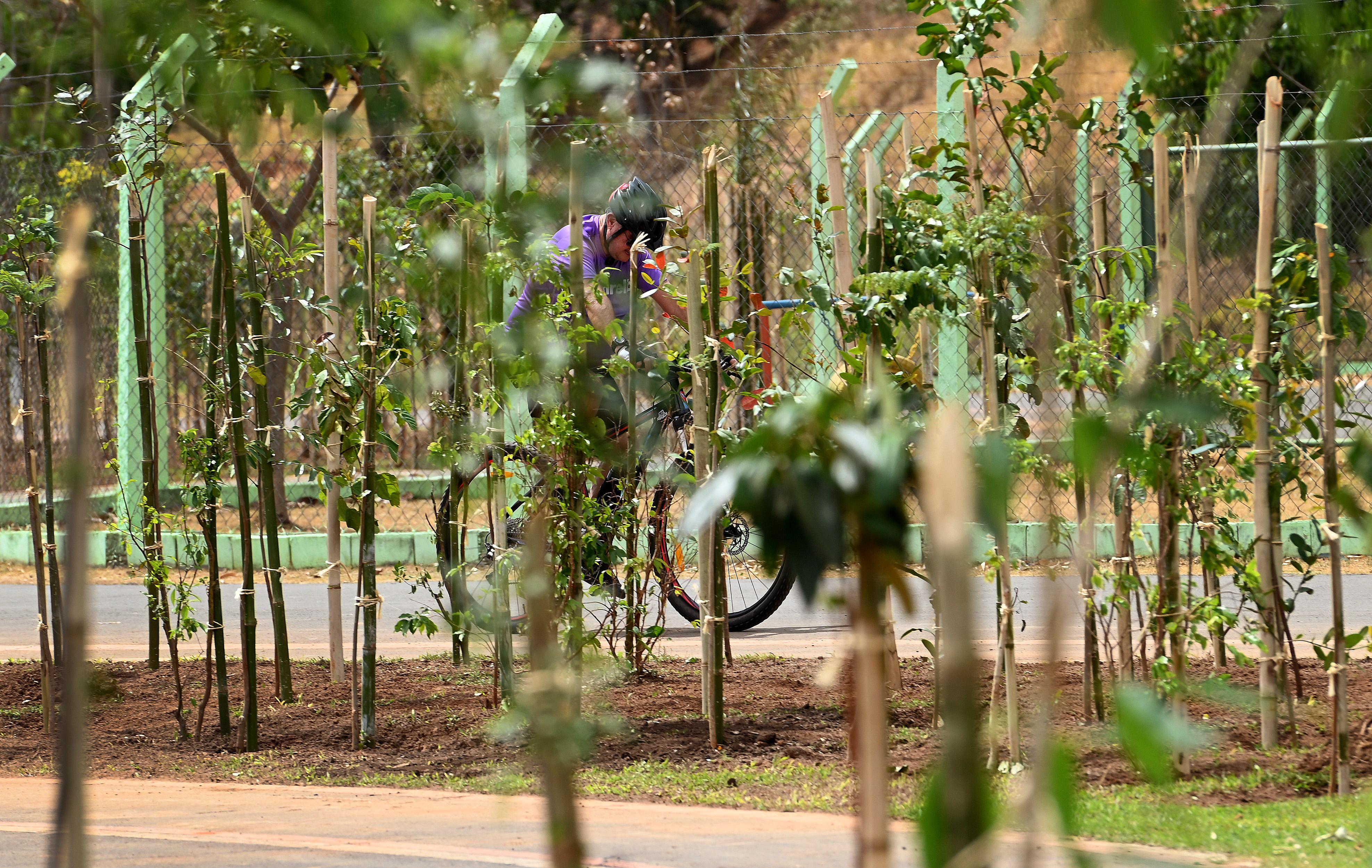 Parques de Campinas como a Lagoa do Taquaral (foto) e o Bosque da Paz Yithzak Rabin também têm novas microflorestas