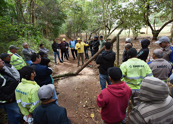 Brigadista mostra como cortar tronco de árvore que está impedindo o trânsito