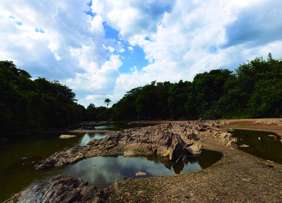 Rio exibe quase todo leito