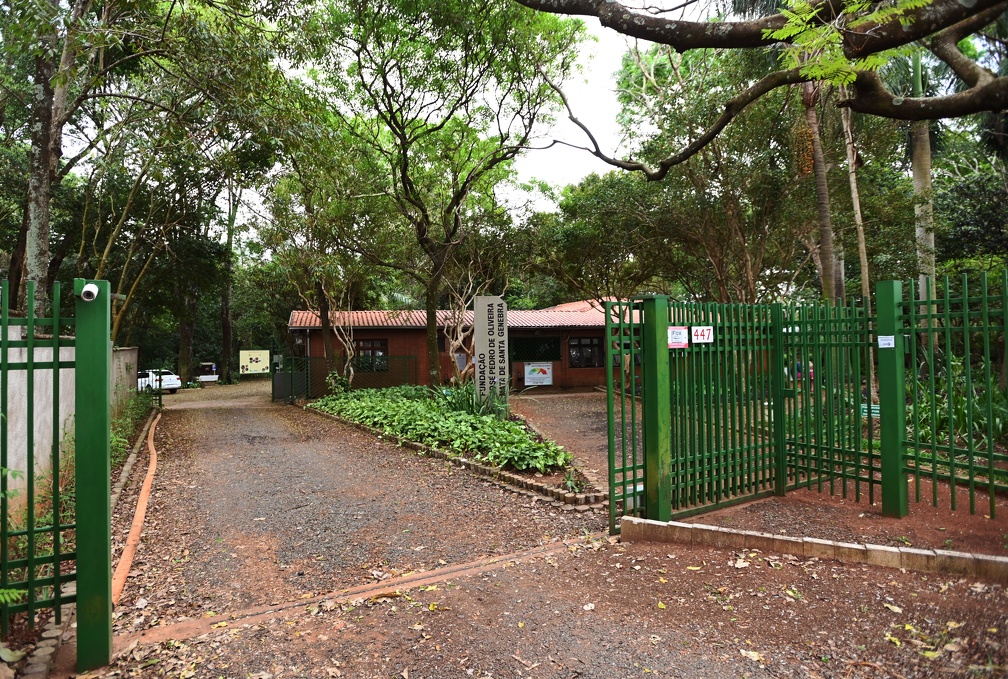 Entrada da Mata de Santa Genebra: câmeras elevam o nível de proteção da floresta 