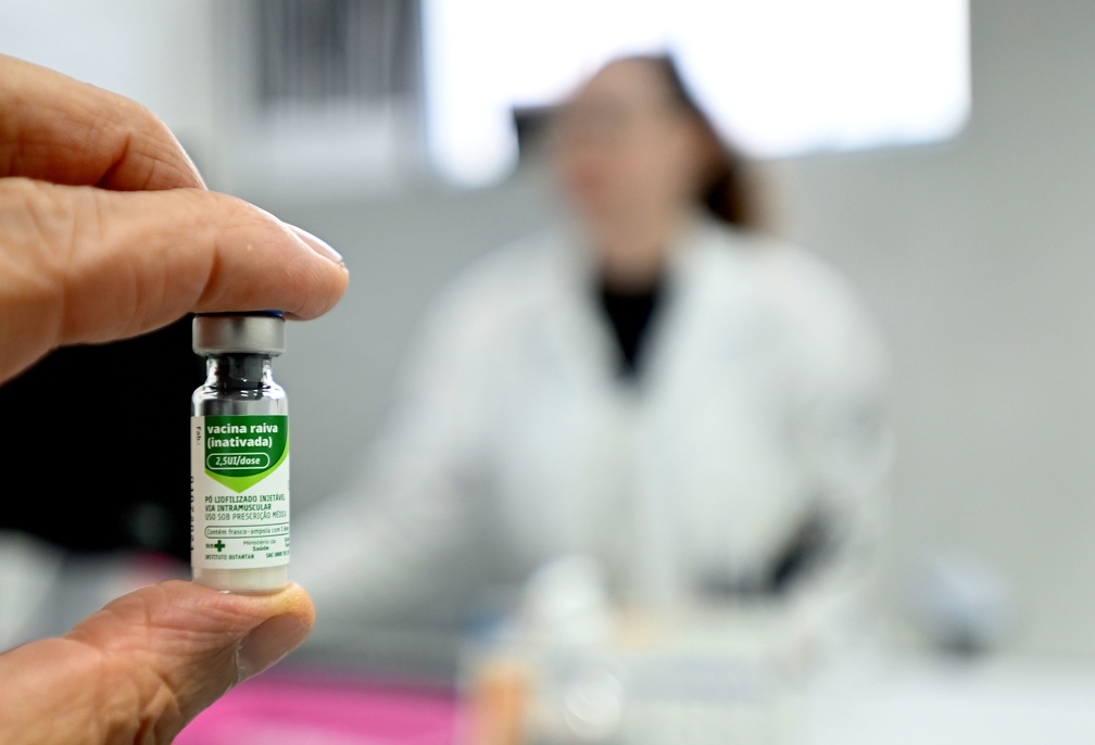 Funcionário de clínica que foi arranhado pela gata com raiva recebeu a vacina e iniciou protocolo de tratamento antirrábico