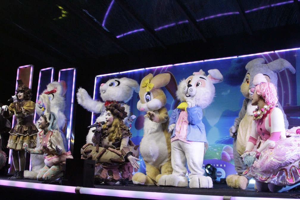 Coelhinhos de Páscoa são a atração mais esperada