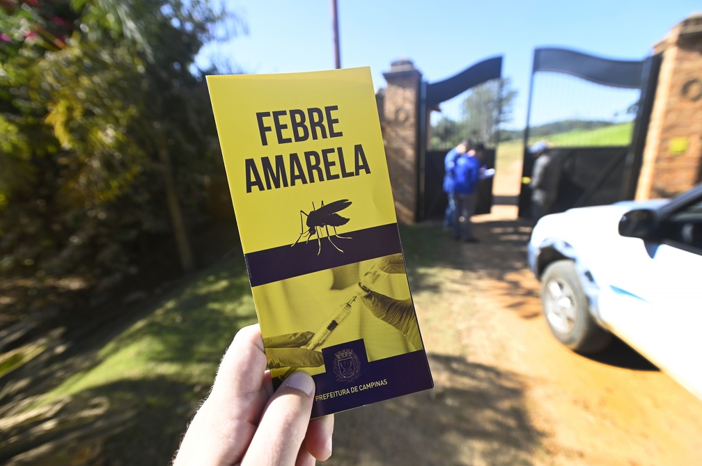 Material informativo entregue durante uma ação da Saúde contra febre amarela